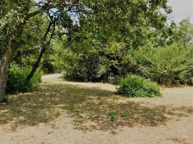 a front view of a house with a yard and tree s