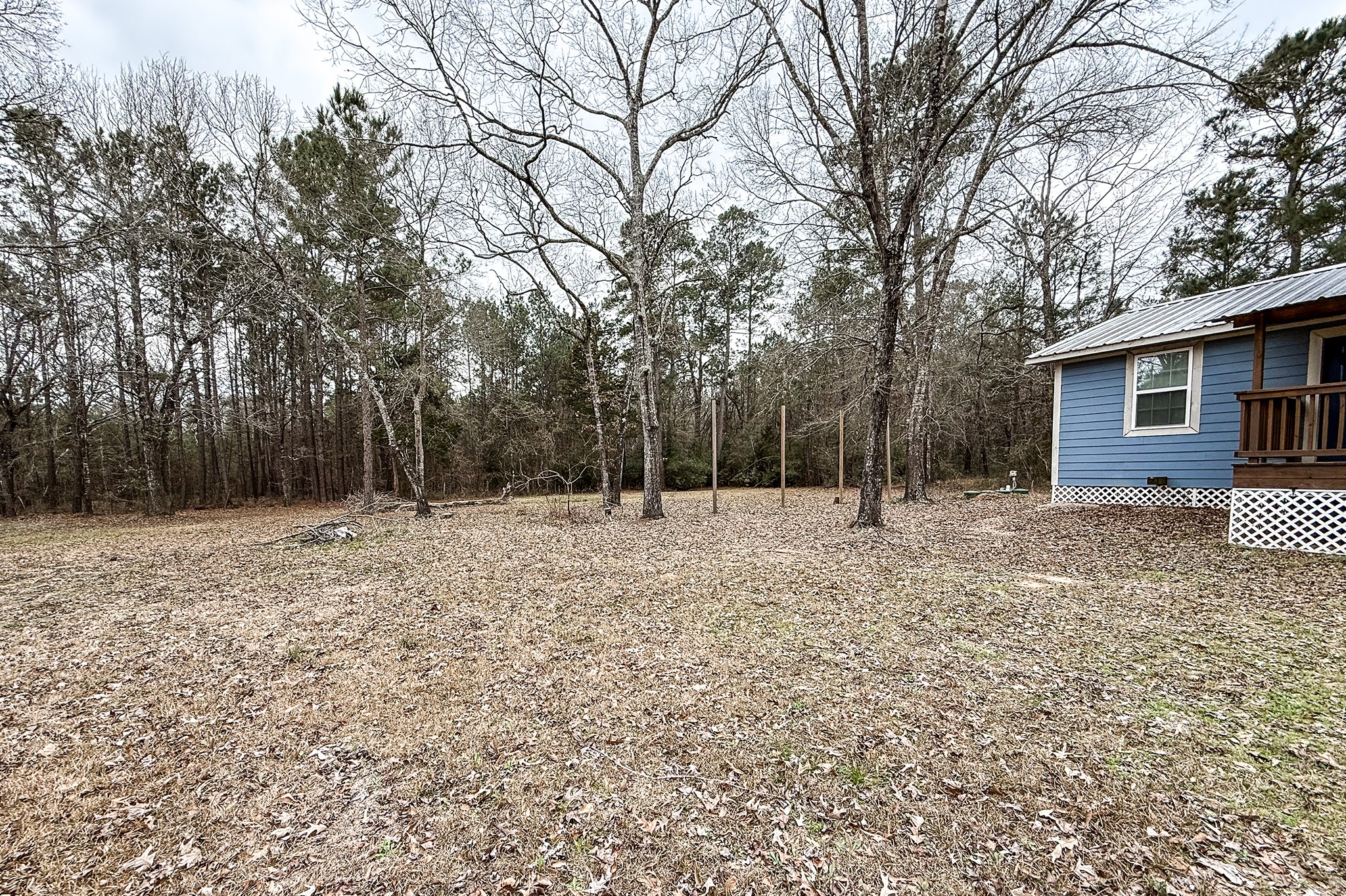 52 C Hank Benge Road Huntsville, TX 77320 - Photo 21 of 24 a backyard of a house with lots of green space
