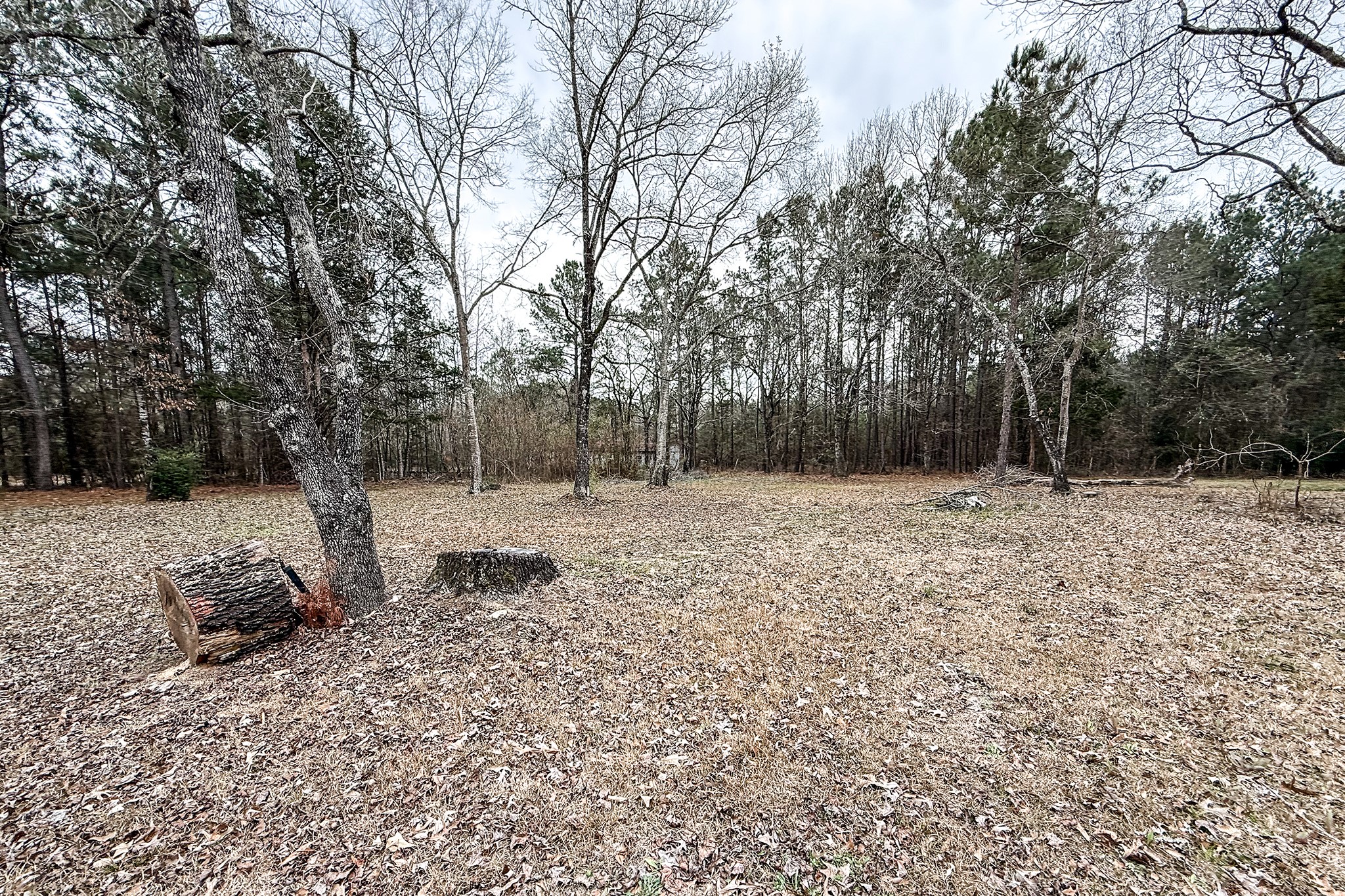 52 C Hank Benge Road Huntsville, TX 77320 - Photo 22 of 24 a backyard of a house with trees