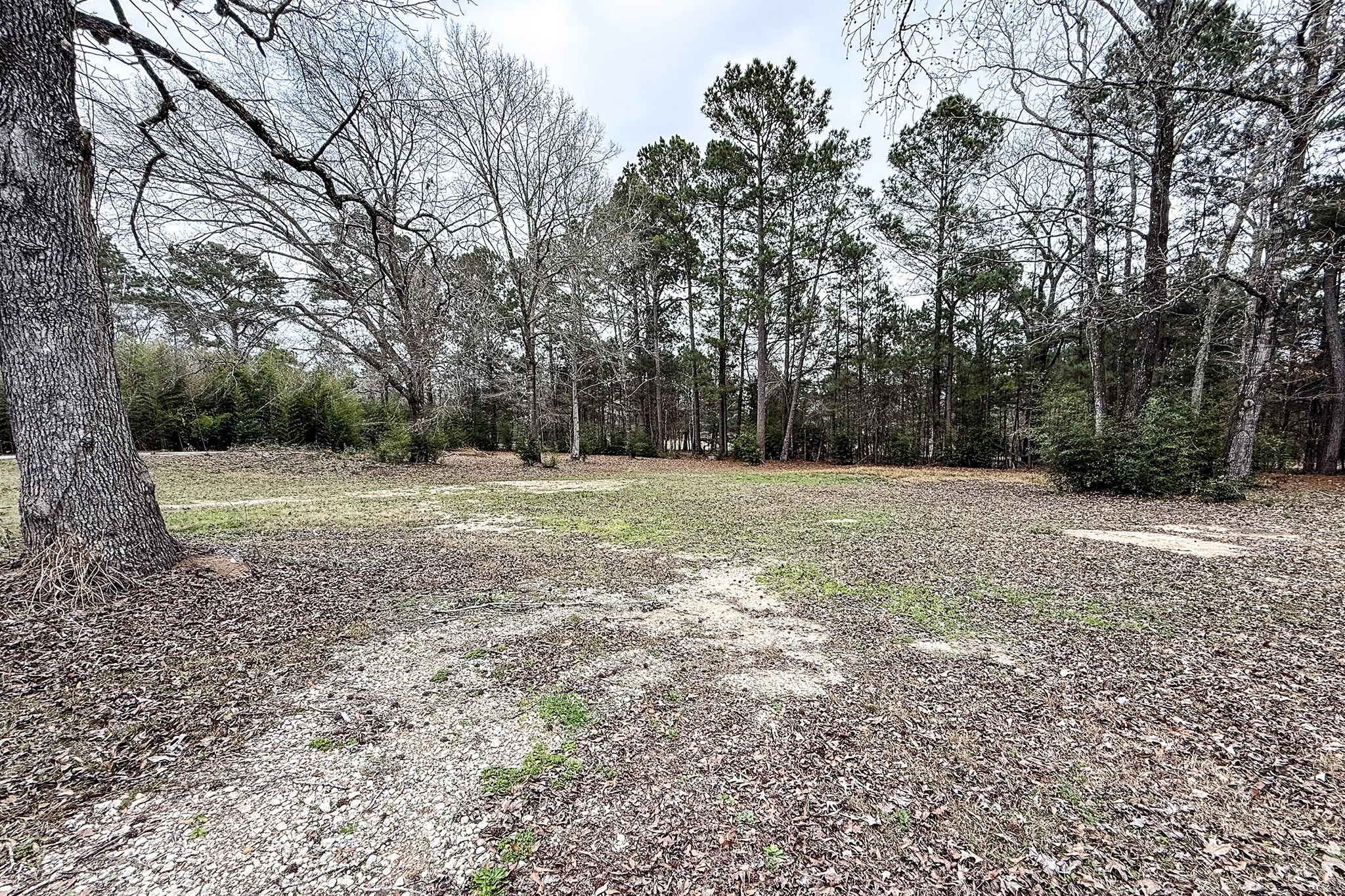 52 C Hank Benge Road Huntsville, TX 77320 - Photo 23 of 24 a view of basketball space with trees in the background