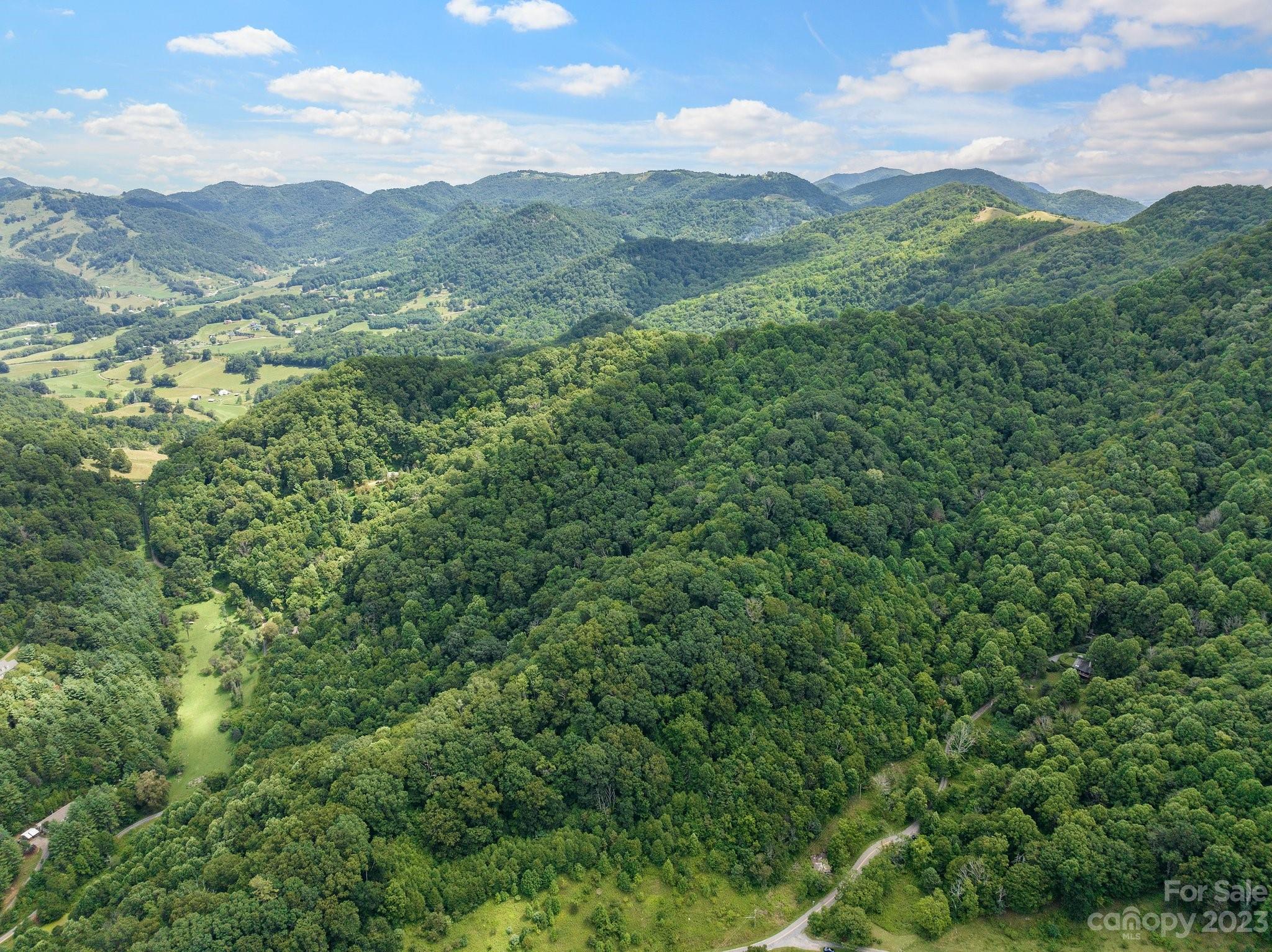0 Big Branch Road Clyde, NC 28721 - Photo 1 of 18 a view of a lush green forest with lush green forest