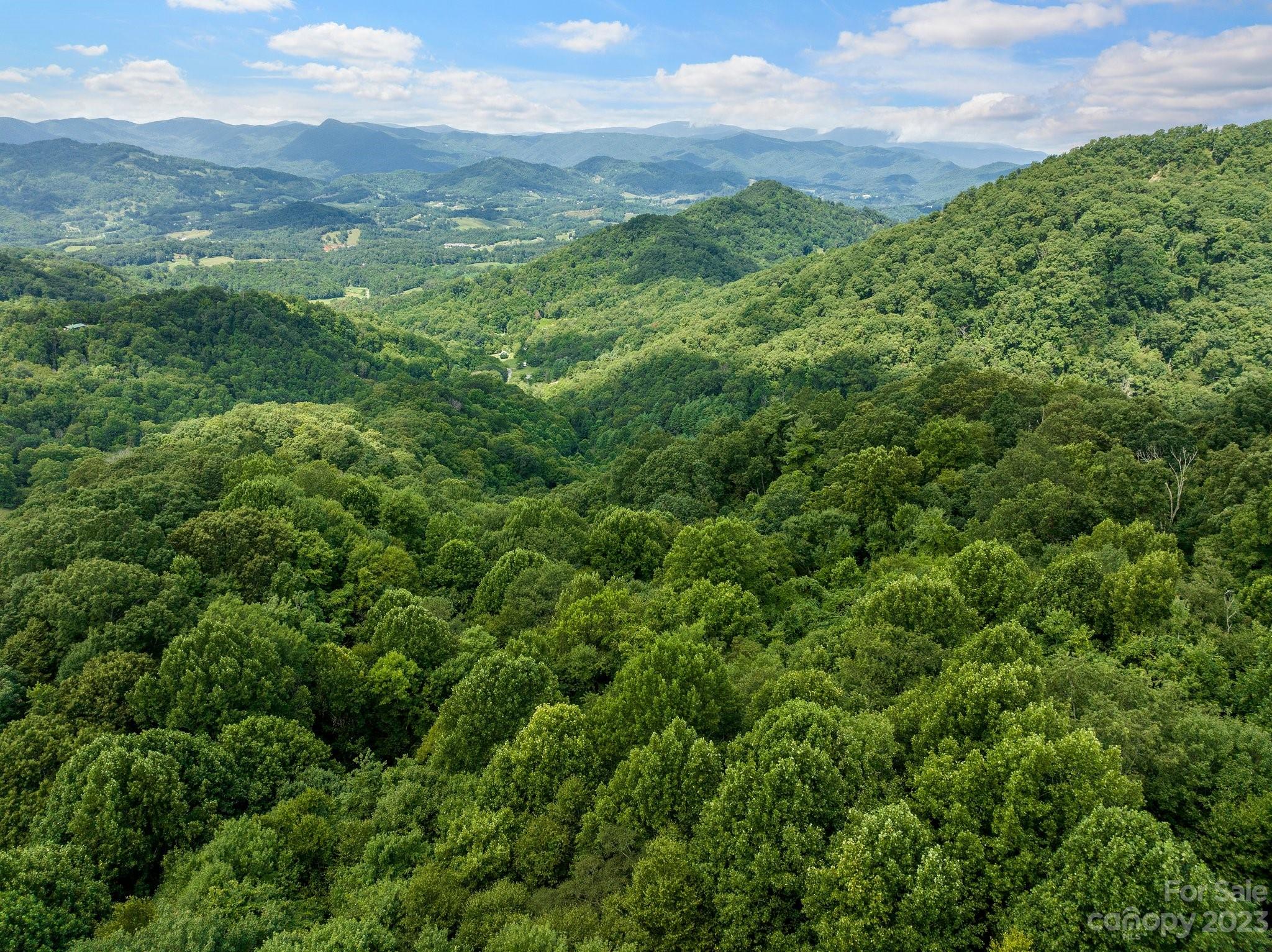 0 Big Branch Road Clyde, NC 28721 - Photo 11 of 18 a view of a lush green forest with lush green forest