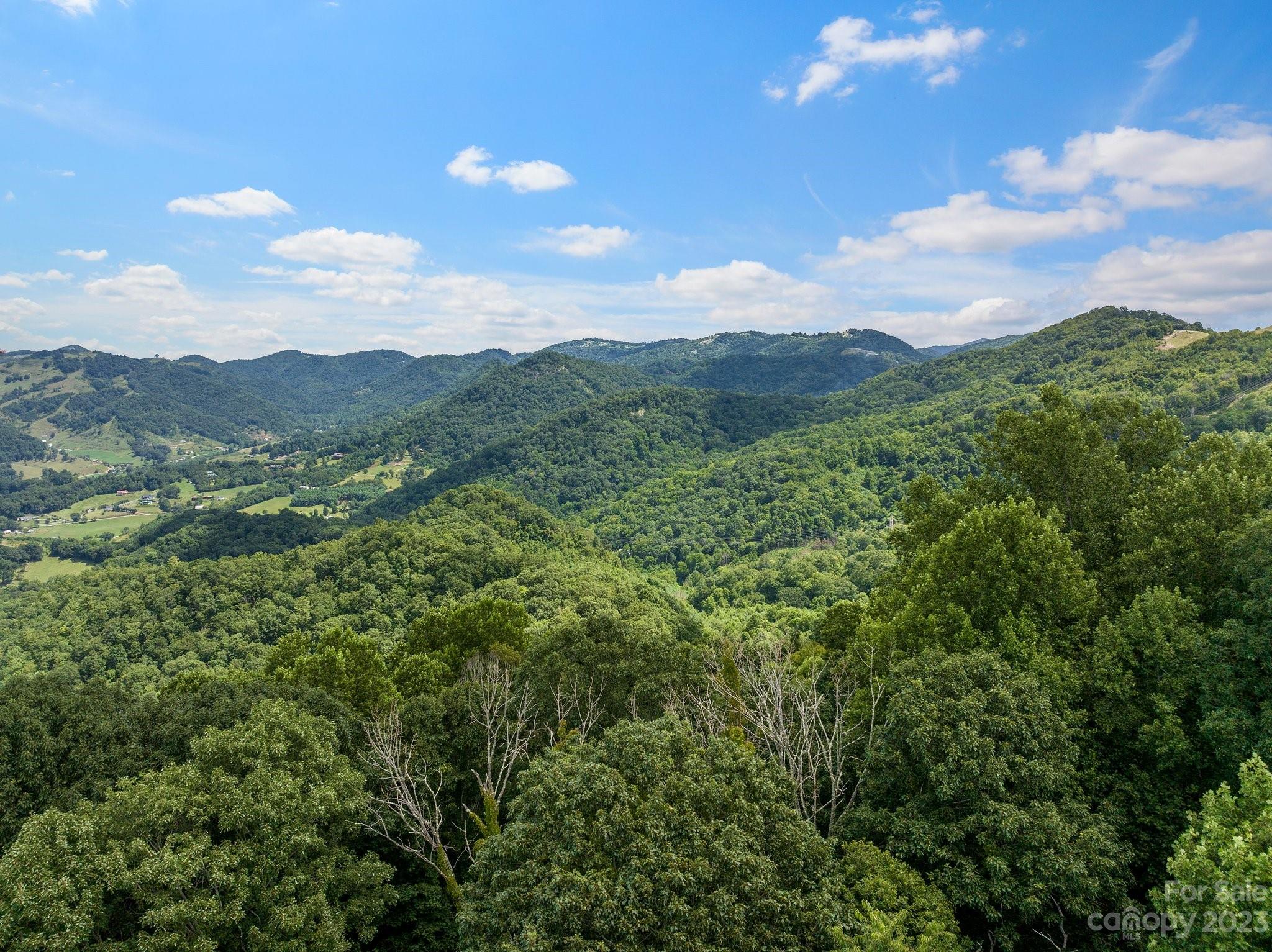 0 Big Branch Road Clyde, NC 28721 - Photo 12 of 18 a view of a city with lush green forest