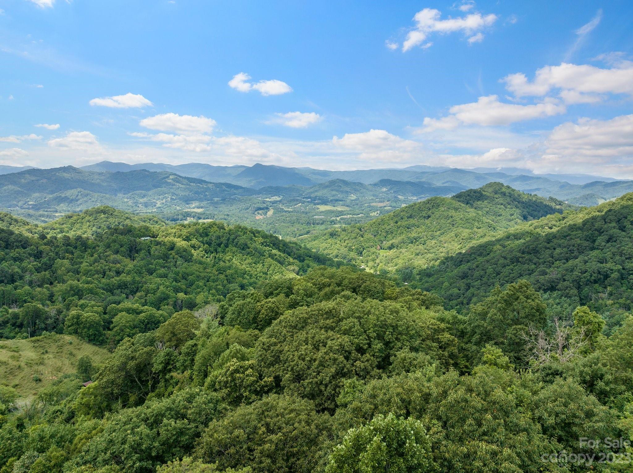 0 Big Branch Road Clyde, NC 28721 - Photo 14 of 18 a view of a city with lush green forest