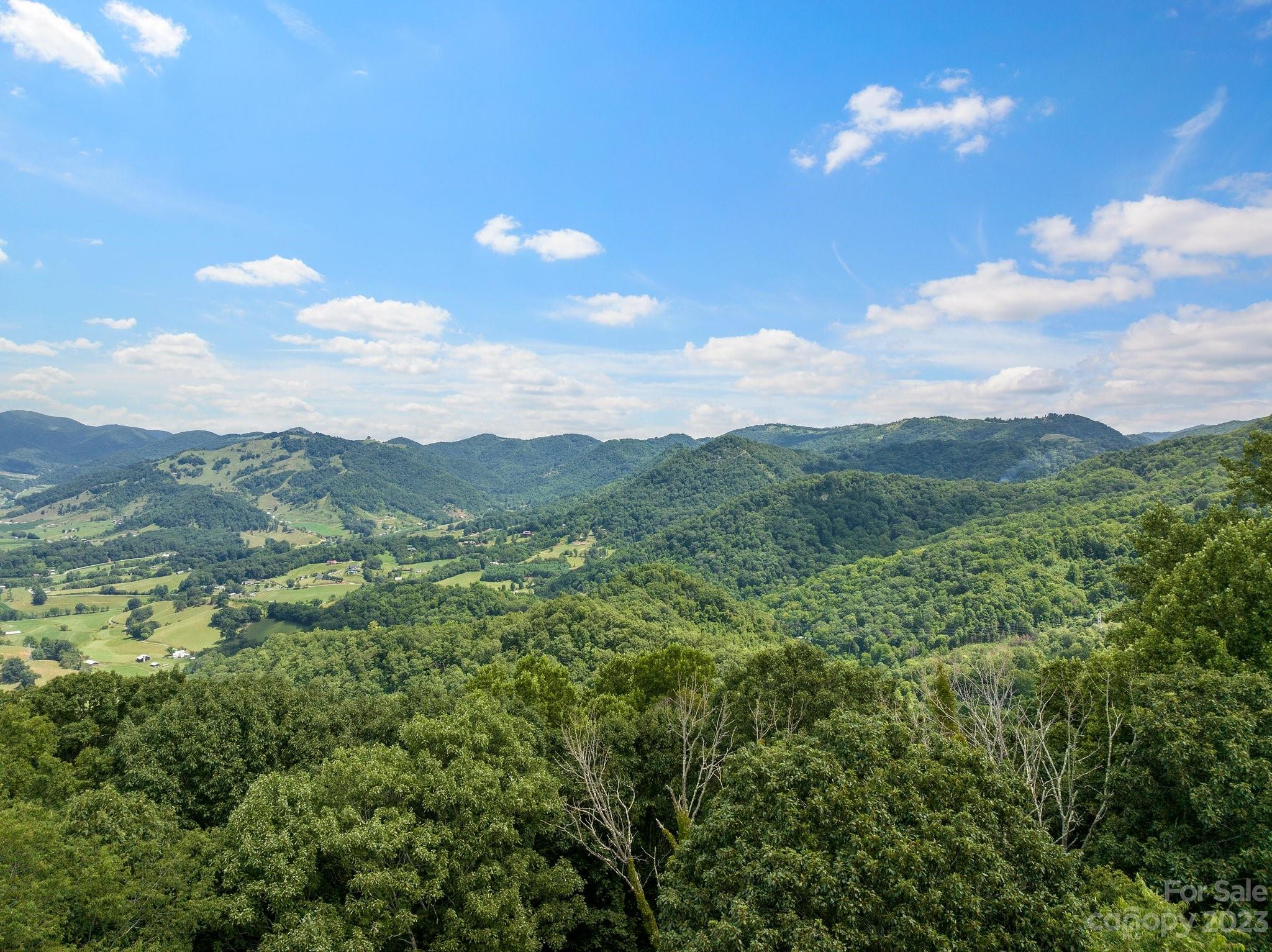 0 Big Branch Road Clyde, NC 28721 - Photo 15 of 18 a view of a city with lush green forest