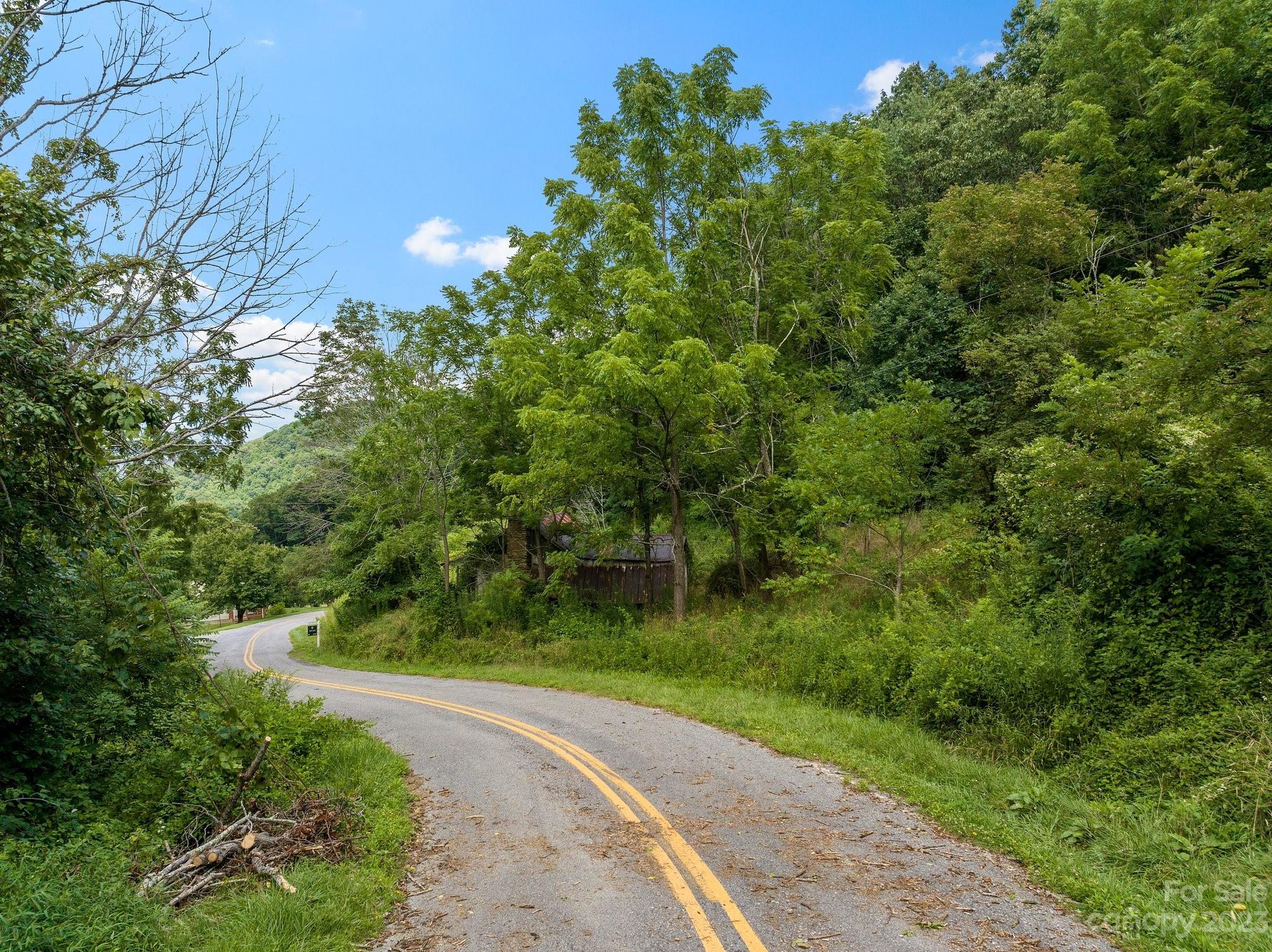 0 Big Branch Road Clyde, NC 28721 - Photo 18 of 18 a view of a yard with plants and a large tree