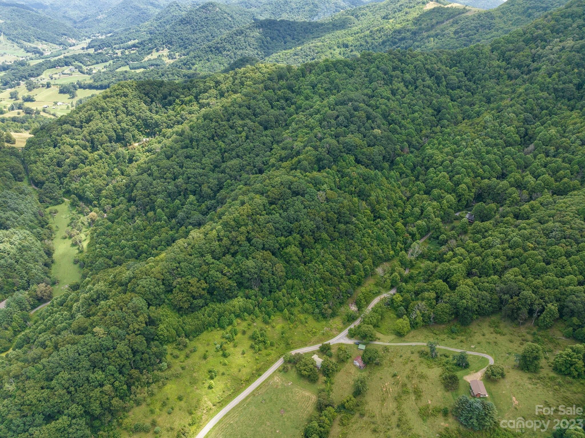 0 Big Branch Road Clyde, NC 28721 - Photo 4 of 18 a view of a forest with a street