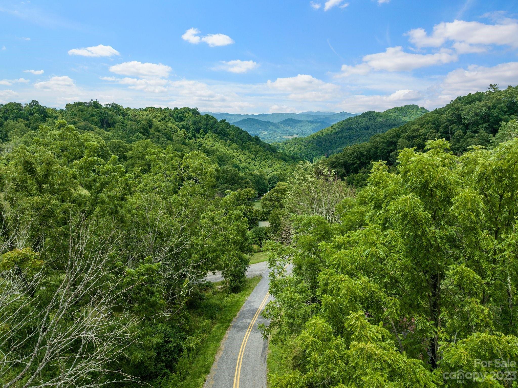 0 Big Branch Road Clyde, NC 28721 - Photo 5 of 18 a view of a lush green forest with lawn chairs and large trees