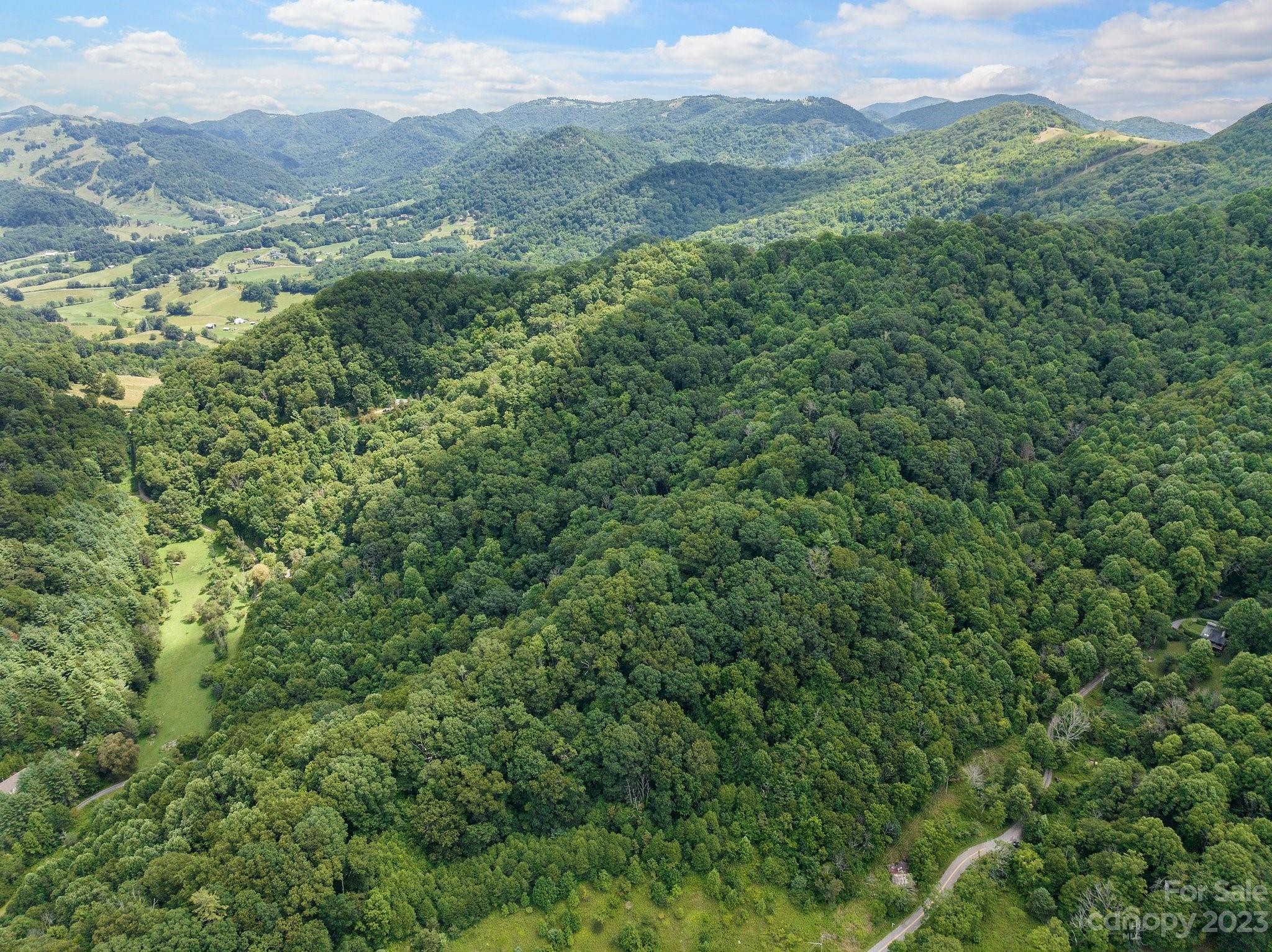 0 Big Branch Road Clyde, NC 28721 - Photo 6 of 18 a view of a mountain range with lush green forest