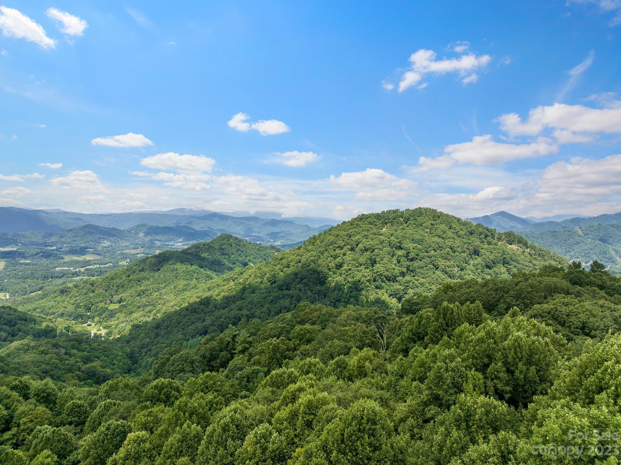 0 Big Branch Road Clyde, NC 28721 - Photo 9 of 18 a view of a city with lush green forest