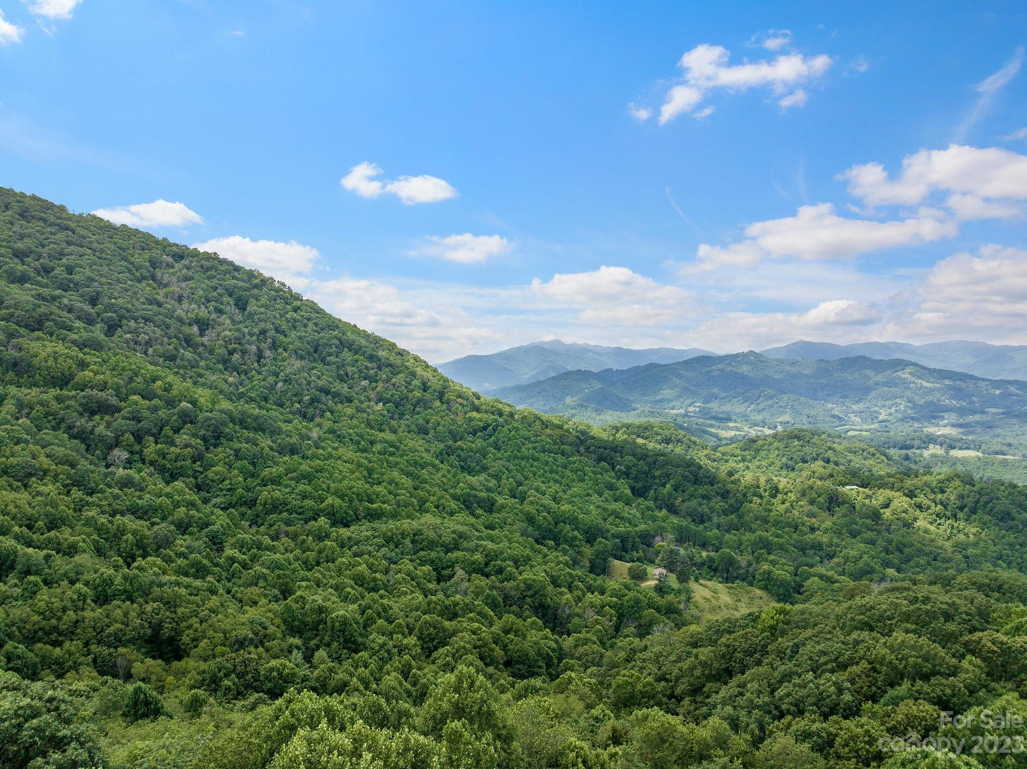 0 Big Branch Road Clyde, NC 28721 - Photo 10 of 18 a view of a city with lush green forest