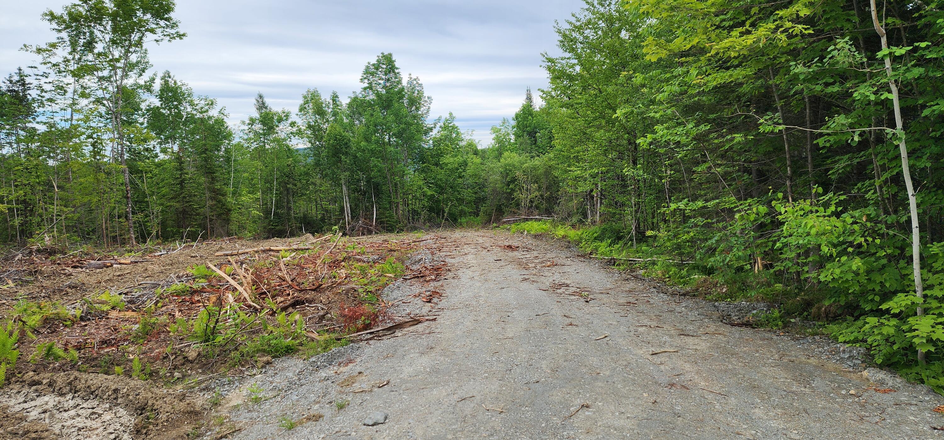 Off Houlton Road Island Falls, ME 04747 - Photo 5 of 13 20240617_130306
