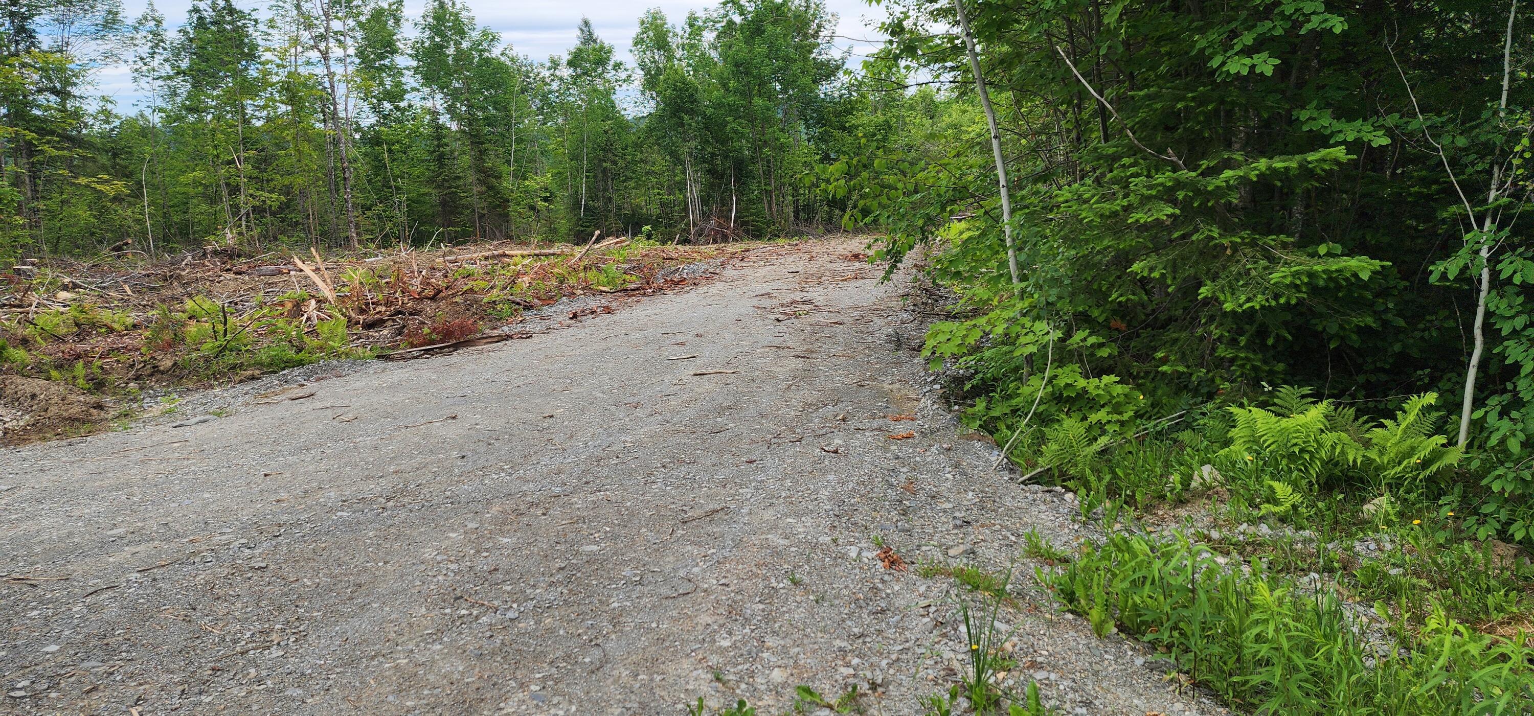 Off Houlton Road Island Falls, ME 04747 - Photo 6 of 13 20240617_130720