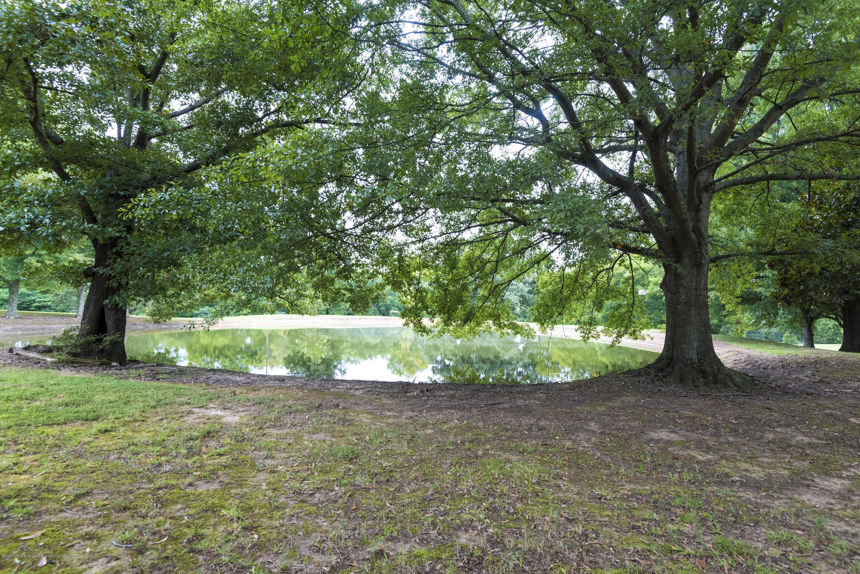 282 Antioch Road Coldwater, MS 38618 - Photo 34 of 39 POND