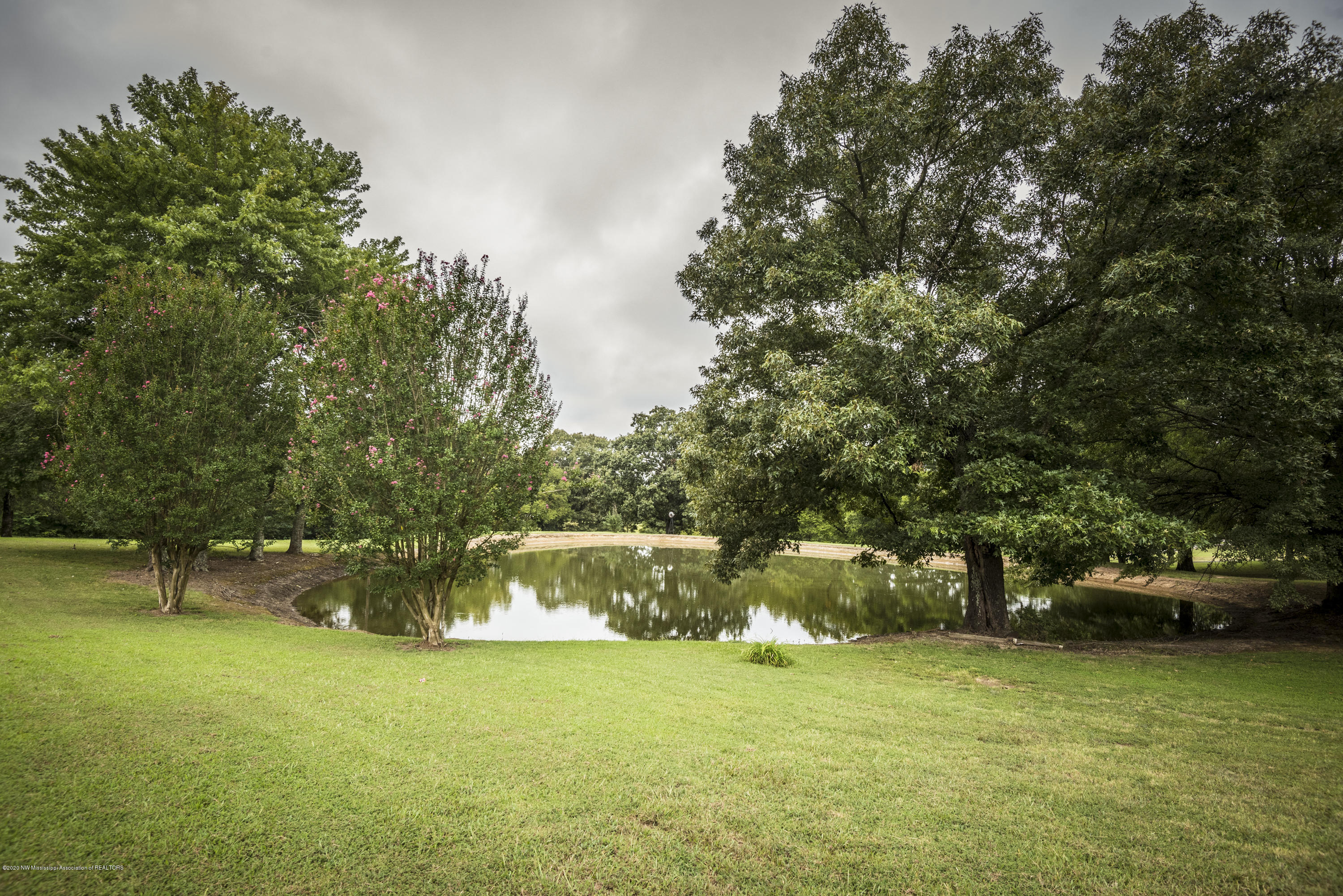 282 Antioch Road Coldwater, MS 38618 - Photo 35 of 39 POND