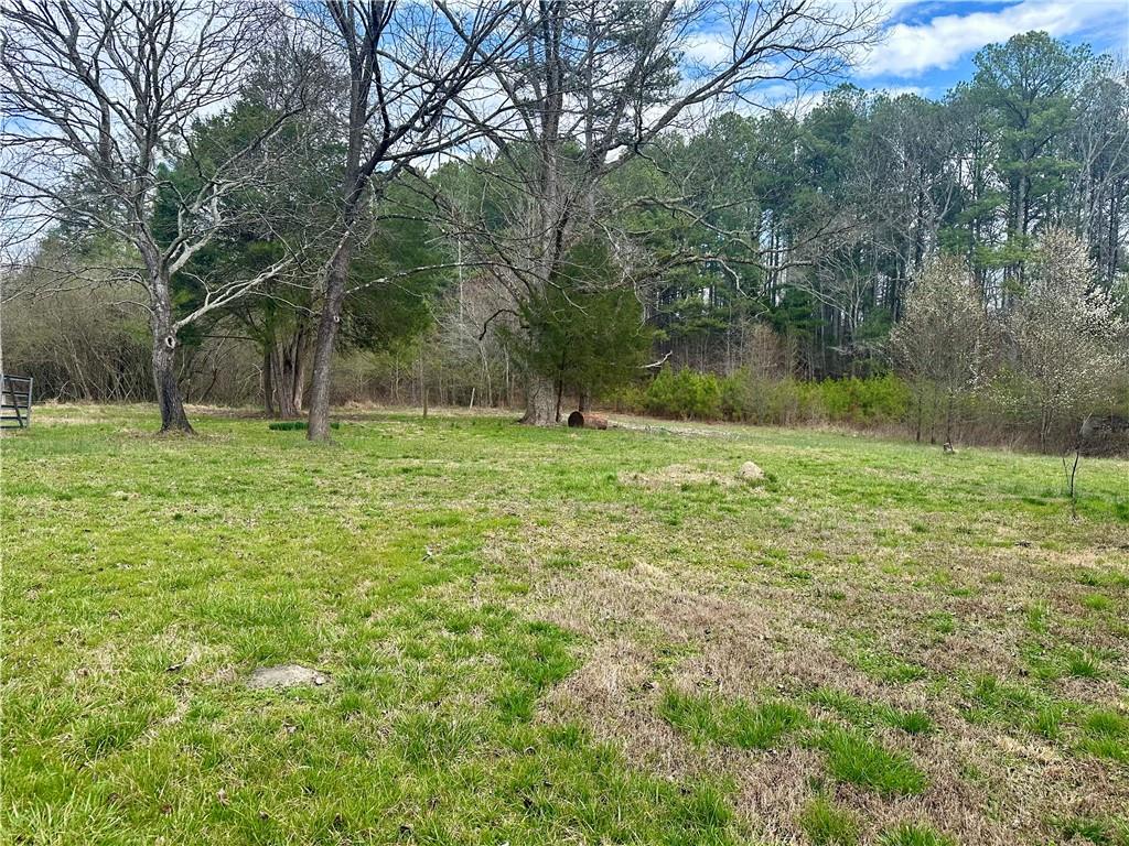 456 Cummings Road Trion, GA 30753 - Photo 8 of 13 a big yard with lots of green space and deers