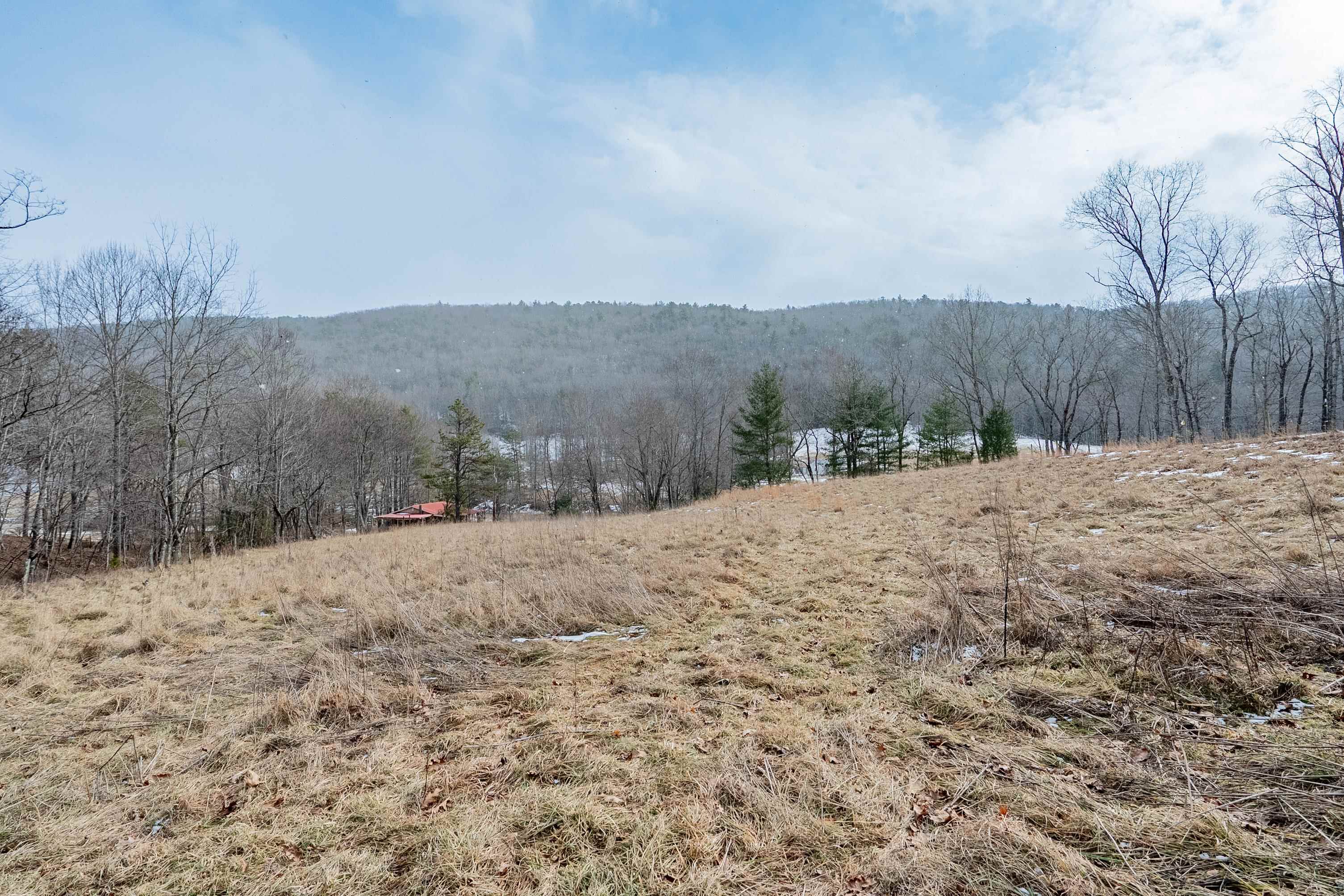 Tbd Spur Branch Road Dublin, VA 24084 - Photo 4 of 84 Gallery Image 4