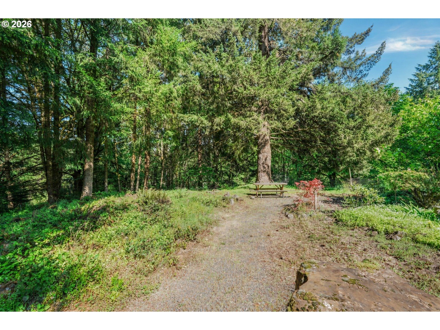 43288 Rodgers Mountain Loop Scio, OR 97374 - Photo 27 of 34
