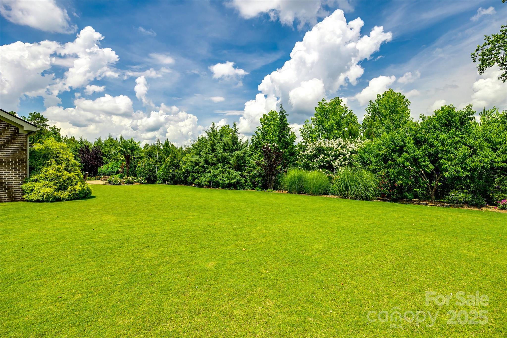 4220 Thames Circle Fort Mill, SC 29715 - Photo 34 of 44 a view of a yard with a house
