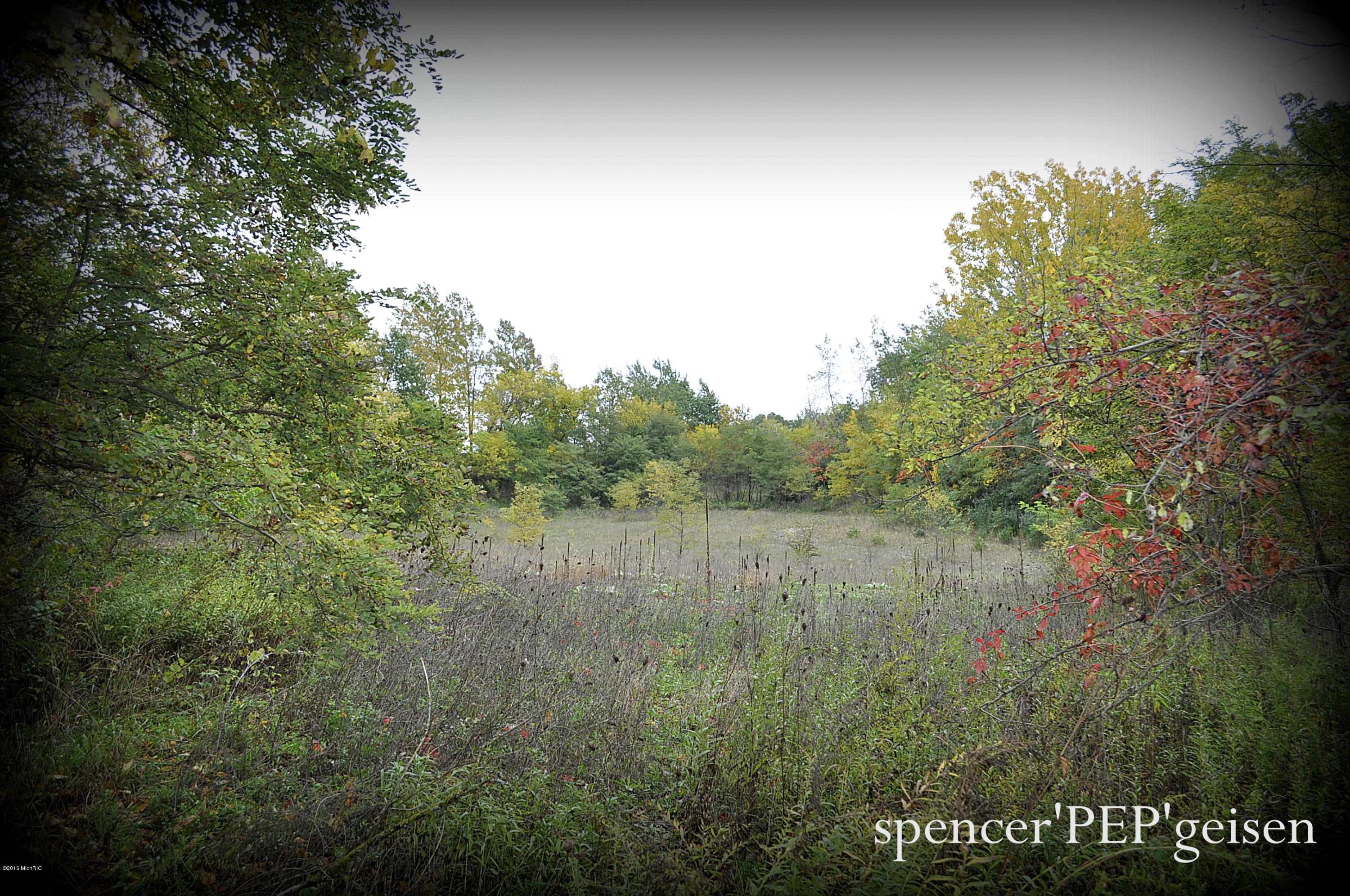 Par A West County Line Road Greenville, MI 48838 - Photo 1 of 10 WCL-1