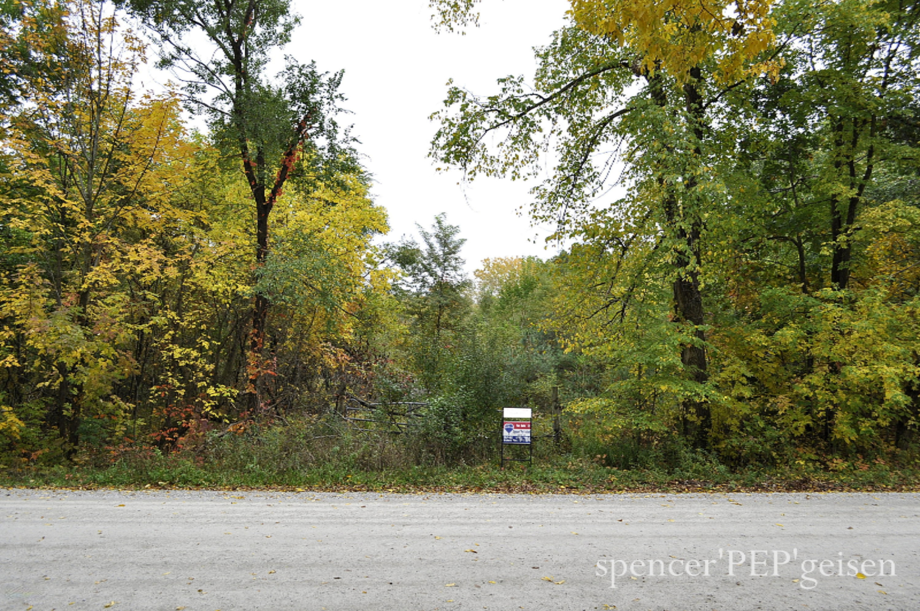 Par A West County Line Road Greenville, MI 48838 - Photo 2 of 10 WCL-2