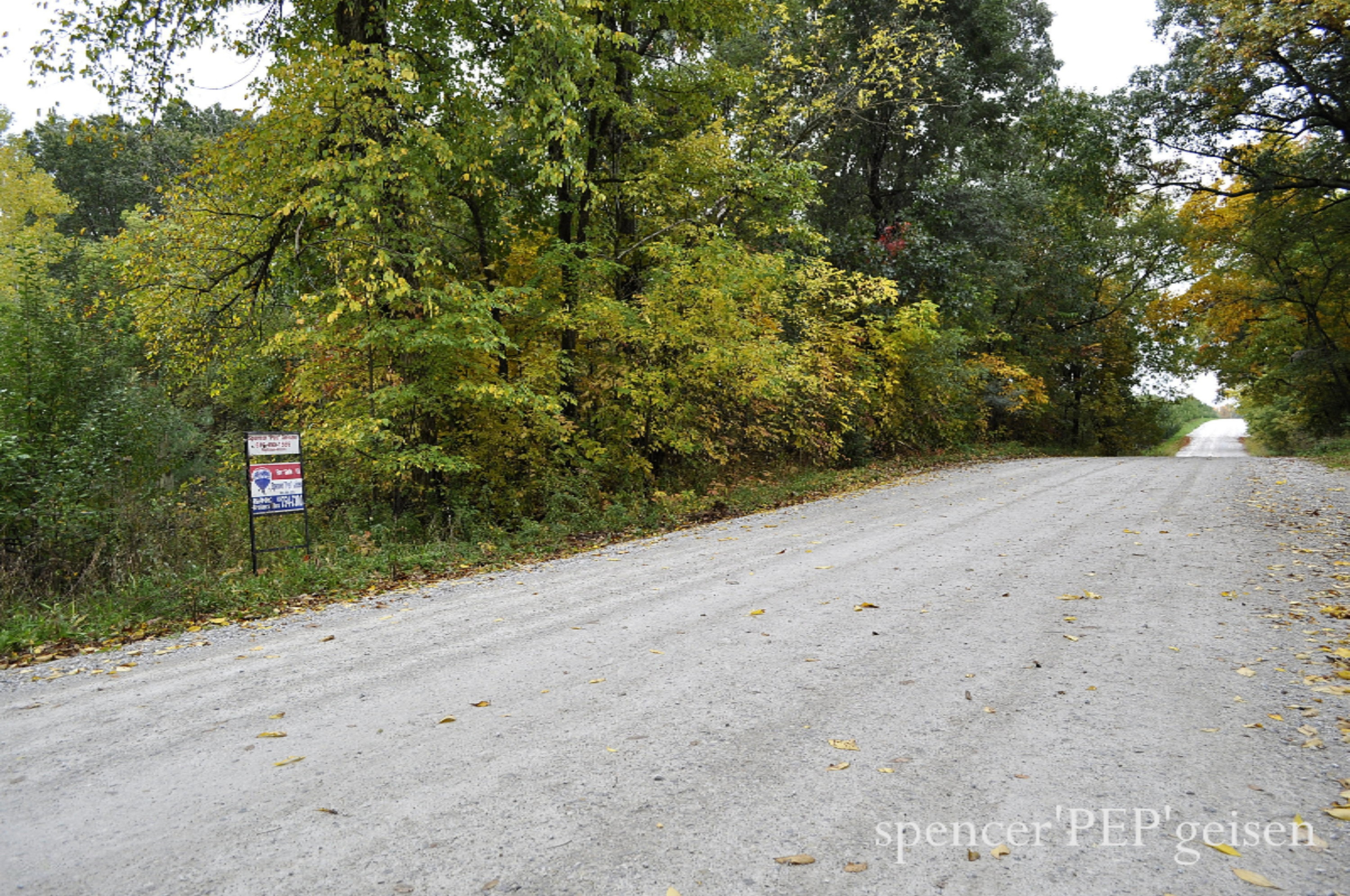 Par A West County Line Road Greenville, MI 48838 - Photo 3 of 10 WCL-3