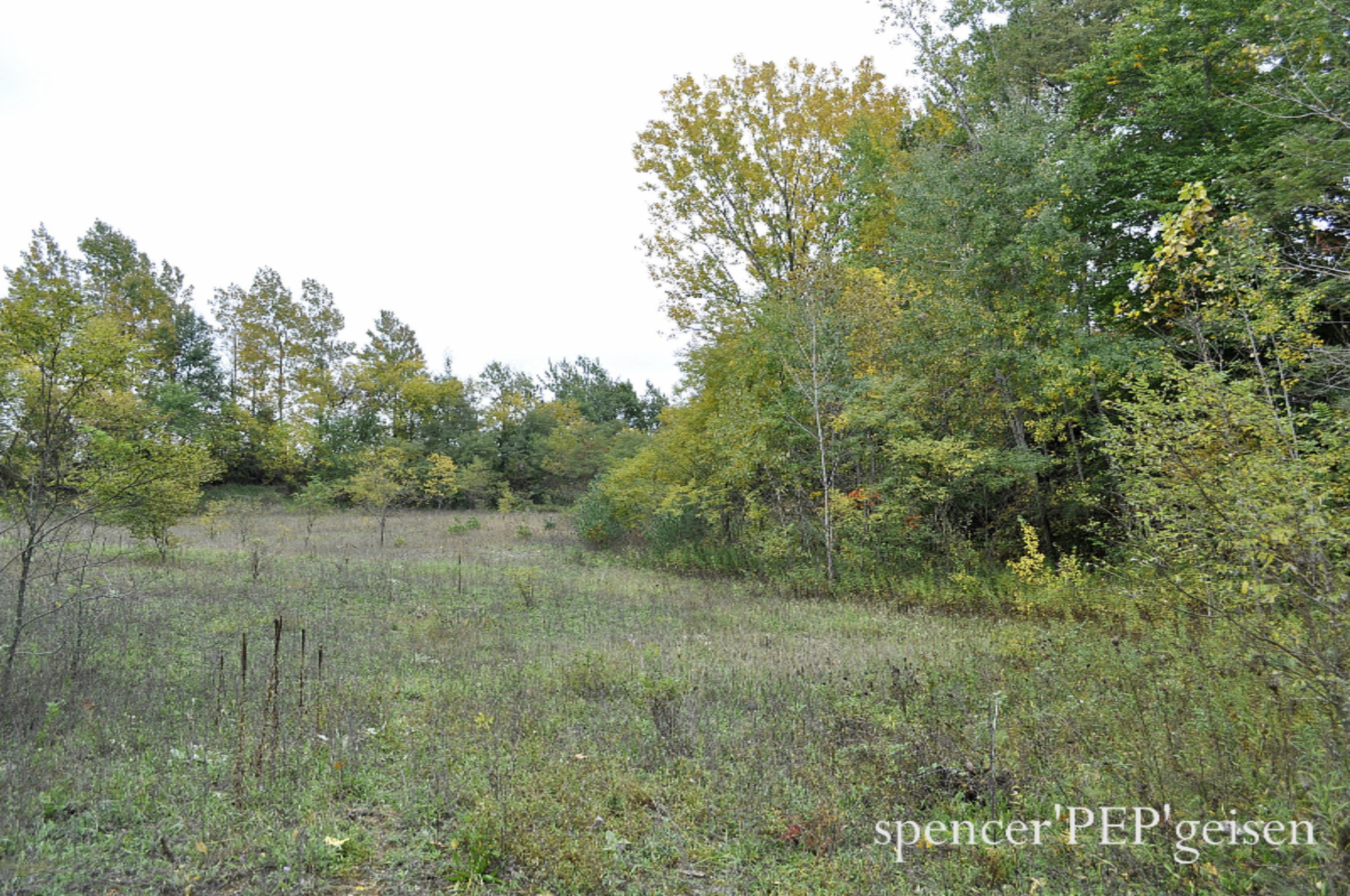 Par A West County Line Road Greenville, MI 48838 - Photo 4 of 10 WCL-4