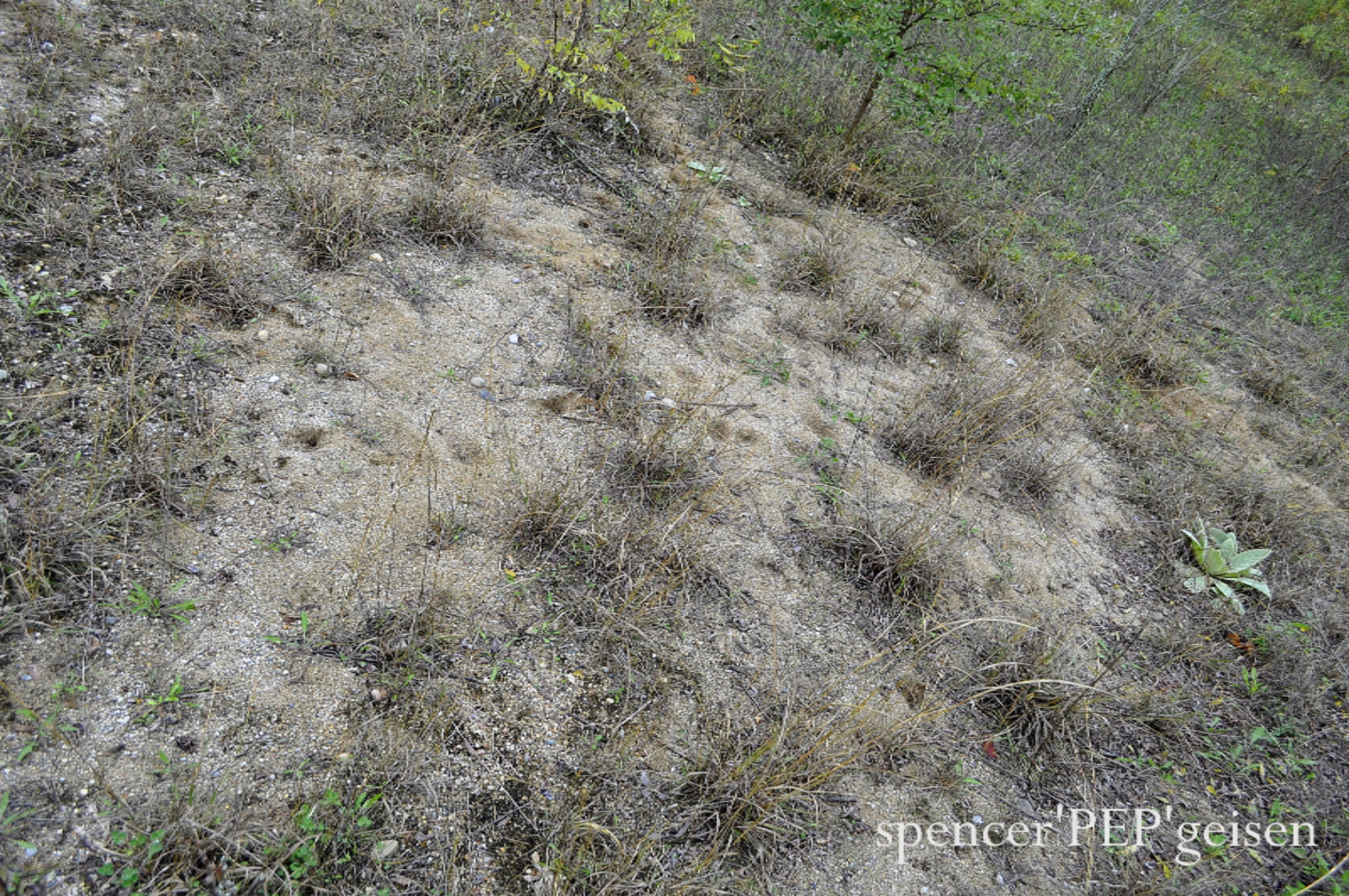 Par A West County Line Road Greenville, MI 48838 - Photo 5 of 10 WCL-5
