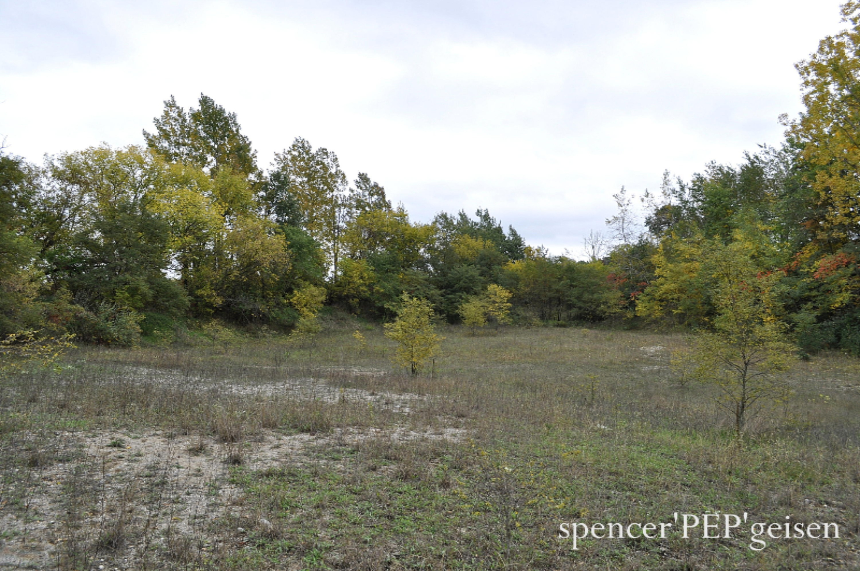 Par A West County Line Road Greenville, MI 48838 - Photo 6 of 10 WCL-6