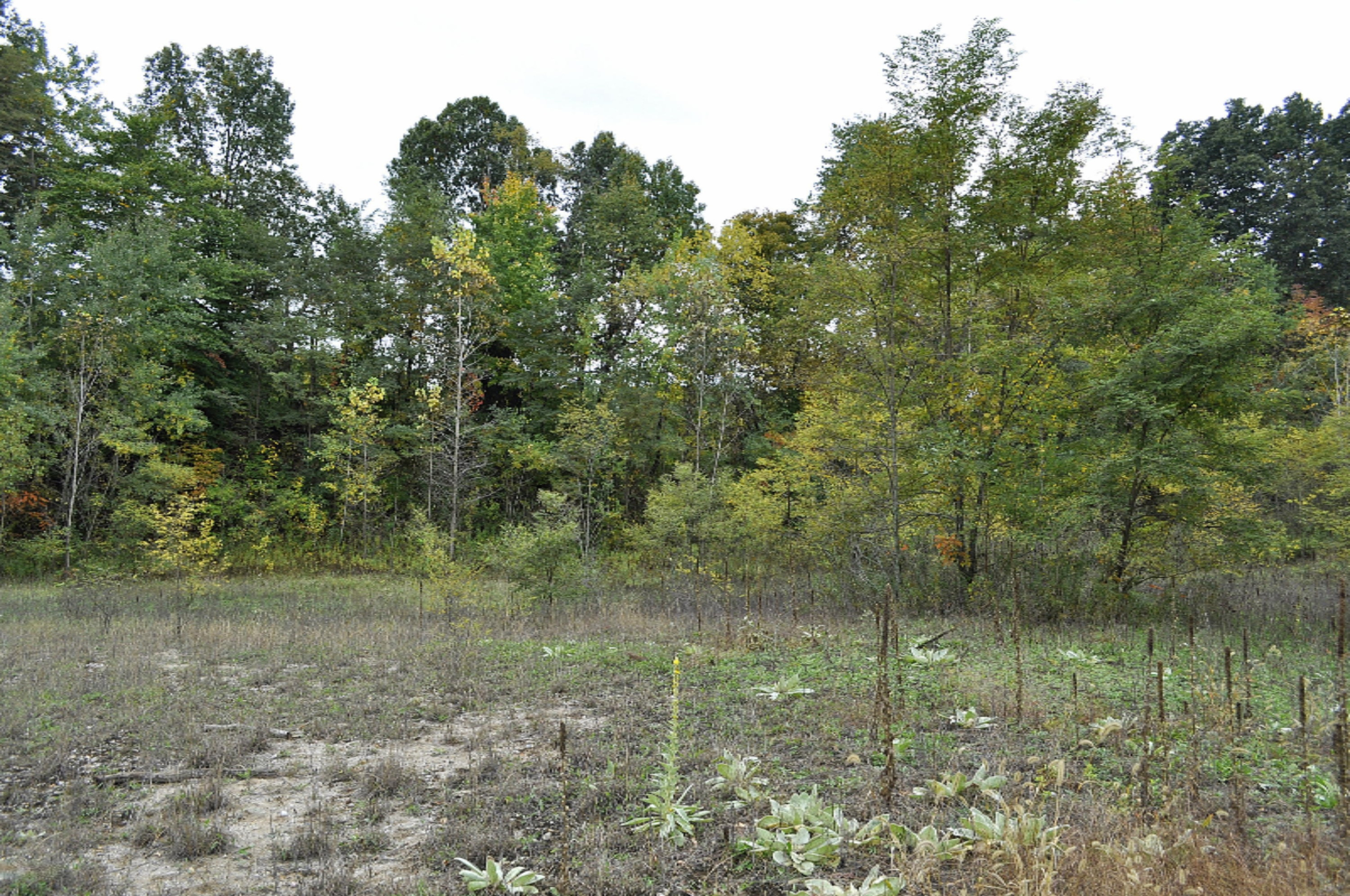 Par A West County Line Road Greenville, MI 48838 - Photo 7 of 10 WCL-7