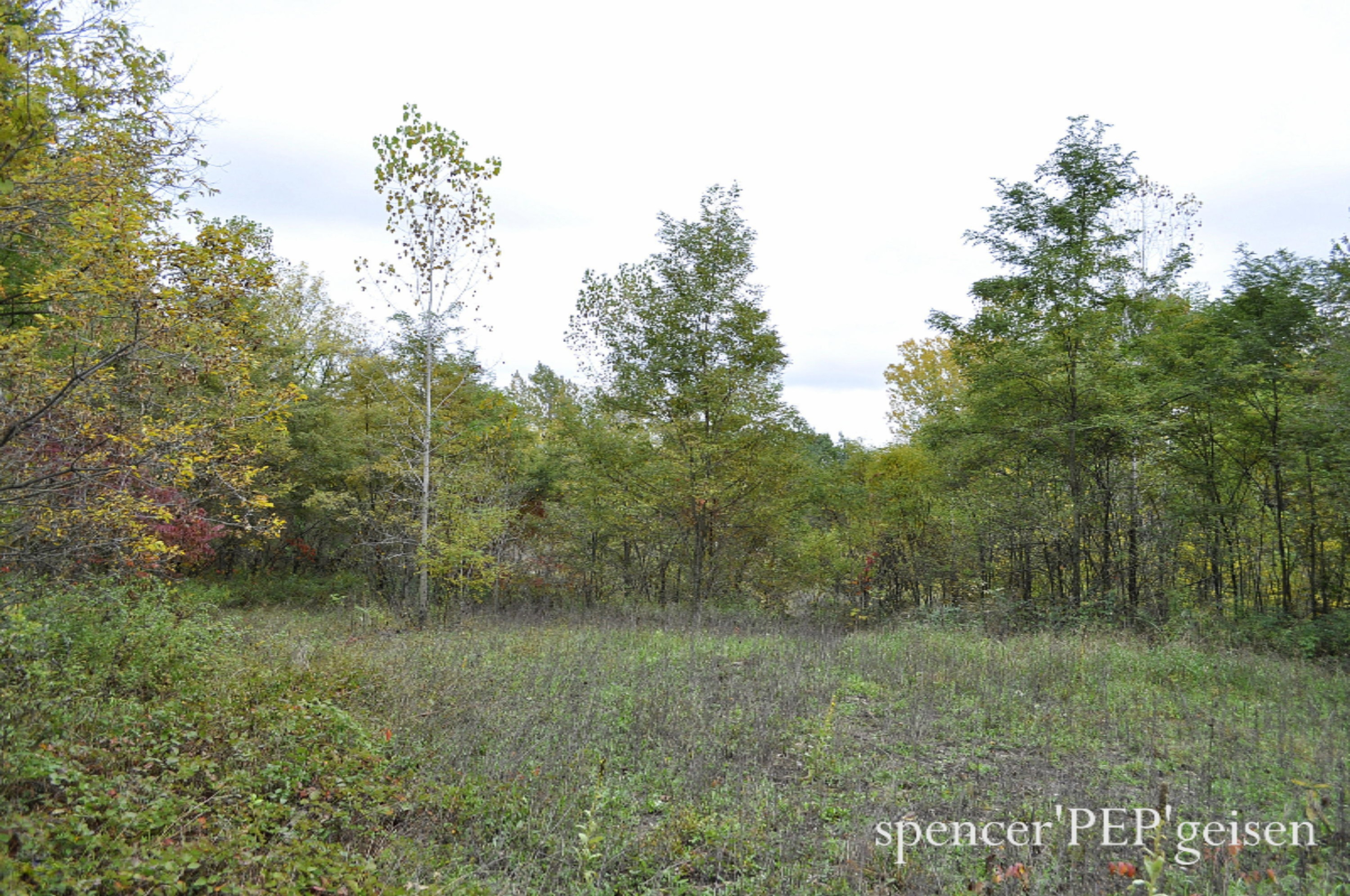 Par A West County Line Road Greenville, MI 48838 - Photo 8 of 10 WCL-8