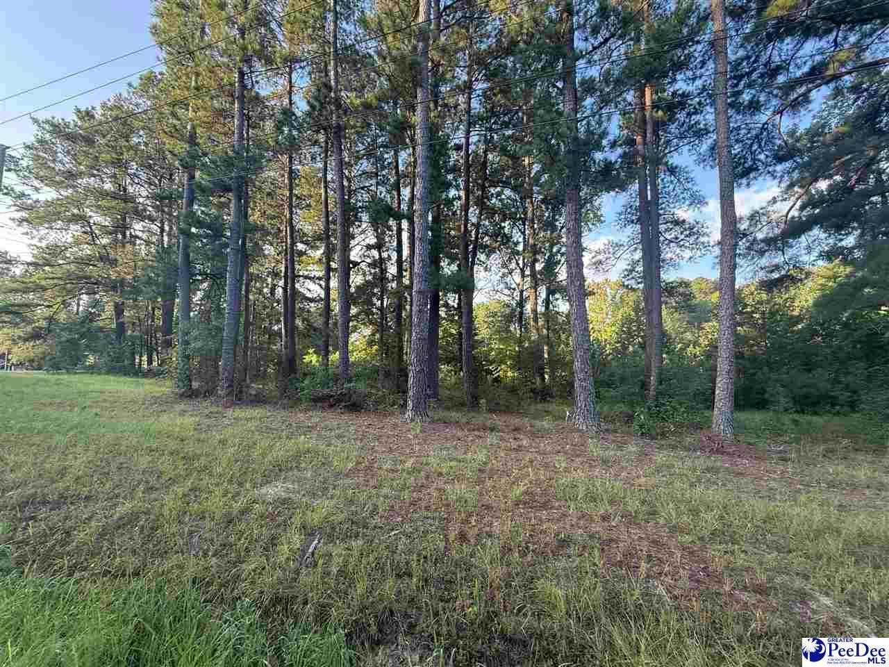 Lot 3 Hunts Mill Road Cheraw, SC 29520 - Photo 10 of 11 Gallery Image 10
