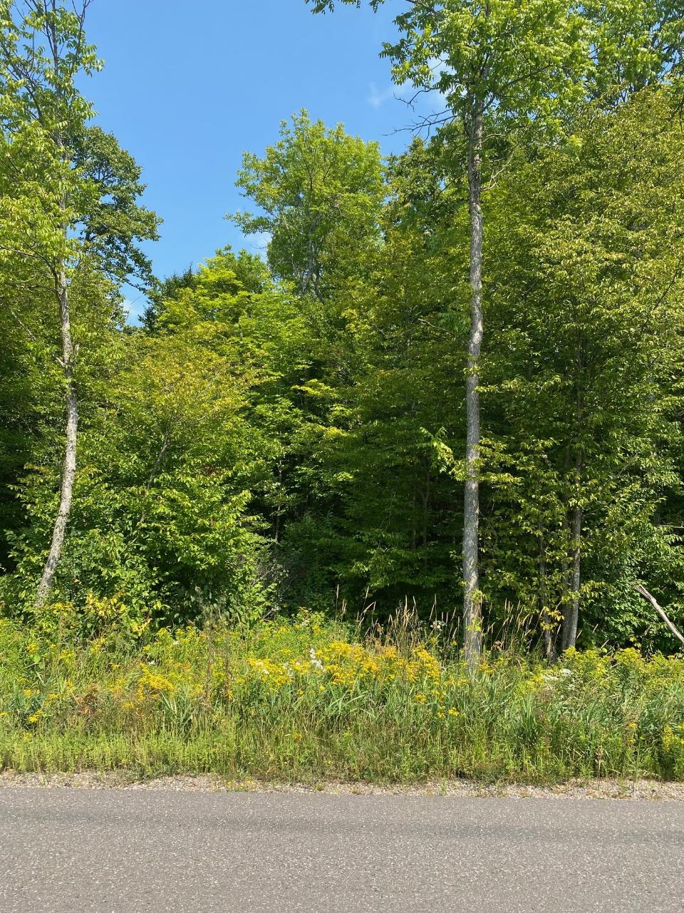 37-ac On St Louis Road Phelps, WI 54554 - Photo 2 of 3 Gallery Image 2