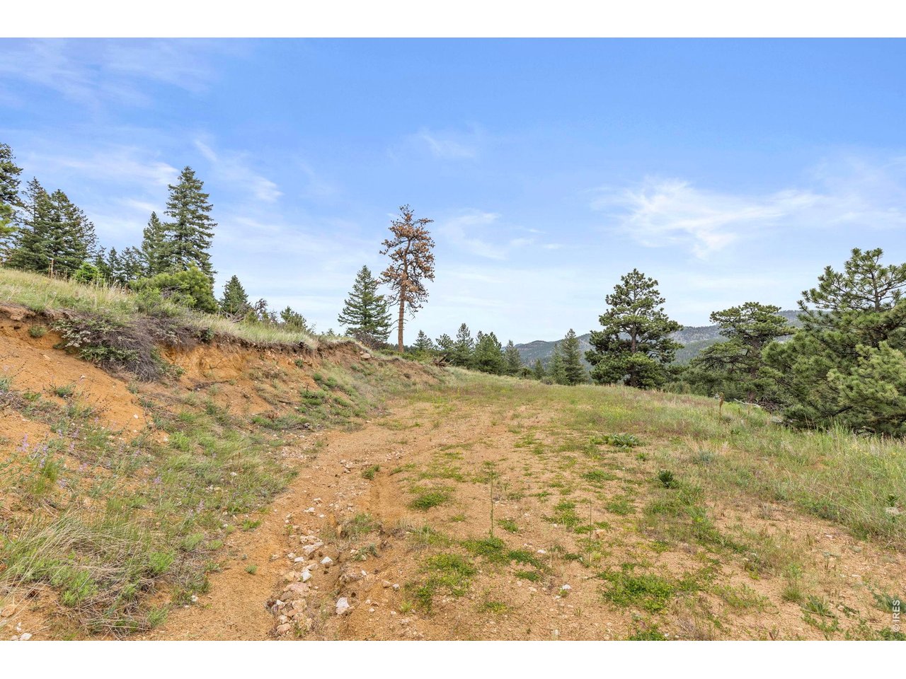 2692 Magnolia Road Nederland, CO 80466 - Photo 21 of 22
