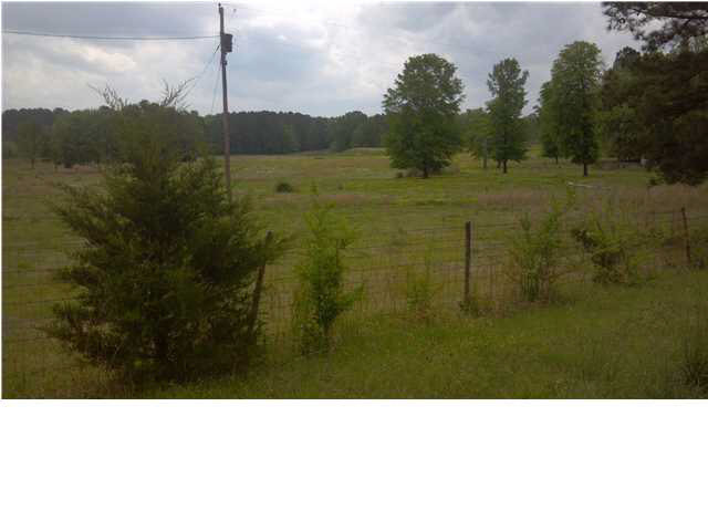 1000 Robinson Road Canton, MS 39046 - Photo 3 of 10 Photo 3