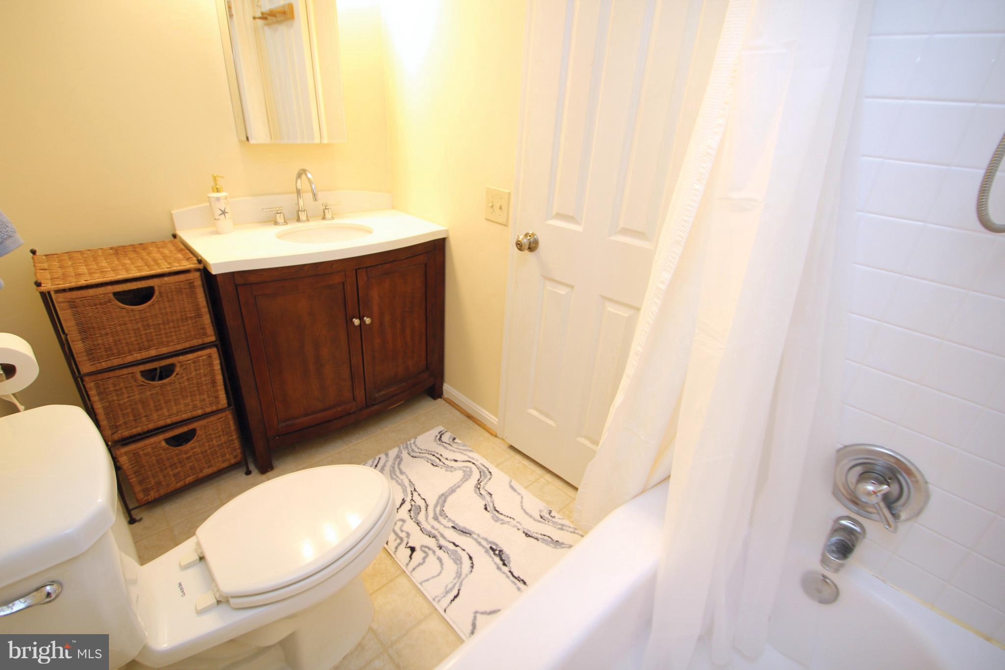 12749 Turquoise Terrace Silver Spring, MD 20904 - Photo 20 of 30 Bath (Master)