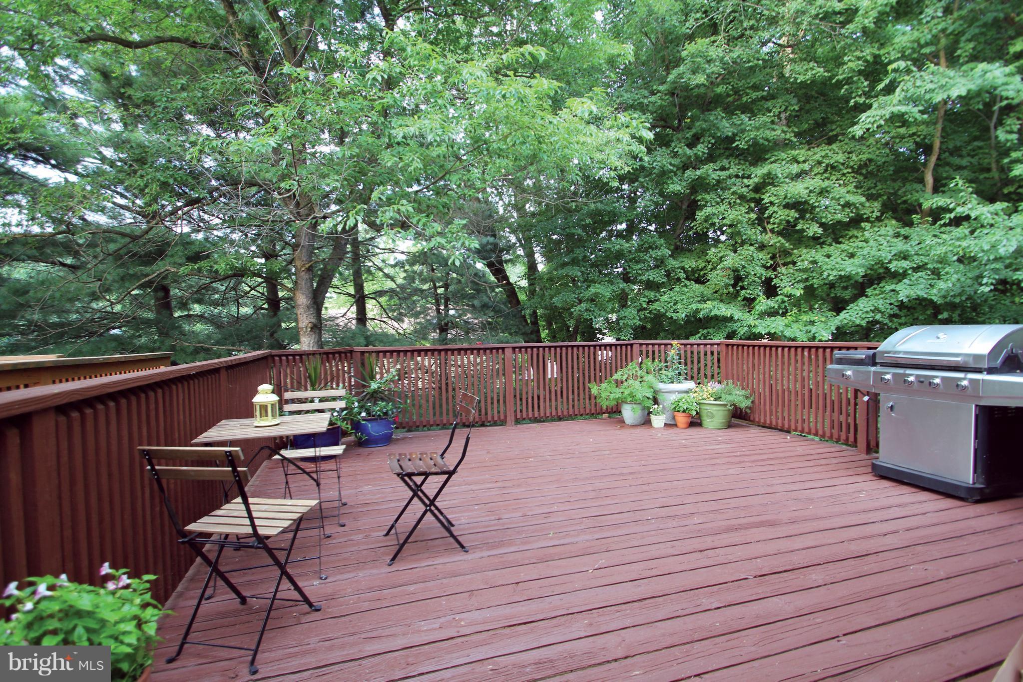 12749 Turquoise Terrace Silver Spring, MD 20904 - Photo 27 of 30 Expansive Deck
