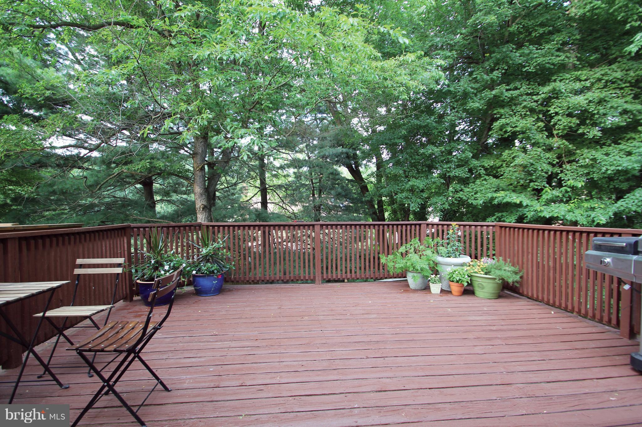 12749 Turquoise Terrace Silver Spring, MD 20904 - Photo 28 of 30 Expansive Deck