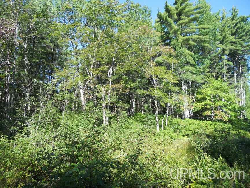 Tbd South Michigan Shores Road Gulliver, MI 49840 - Photo 1 of 7 Gallery Image 1