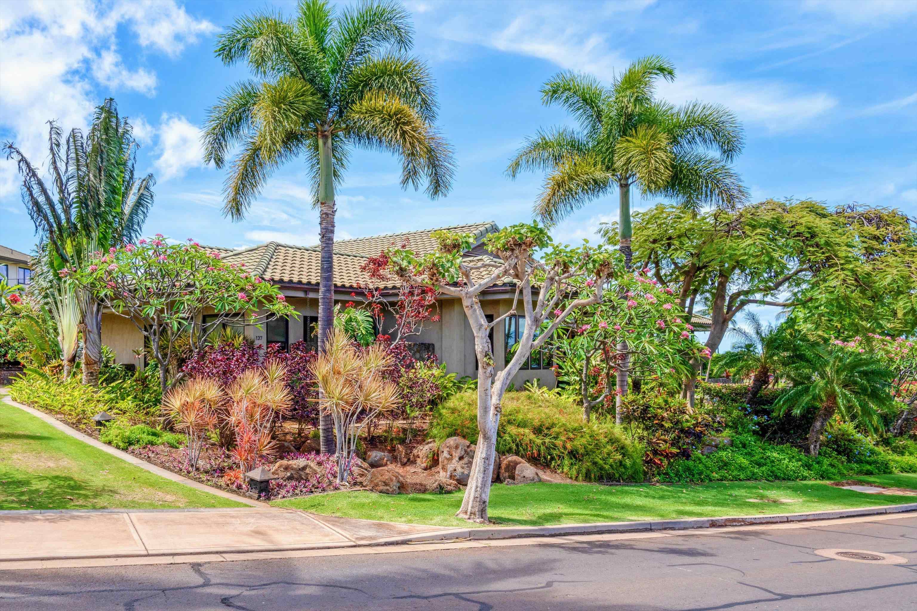 137 Anapuni Loop Lahaina, HI 96761 - Photo 41 of 47 a view of a palm tree in front of a house