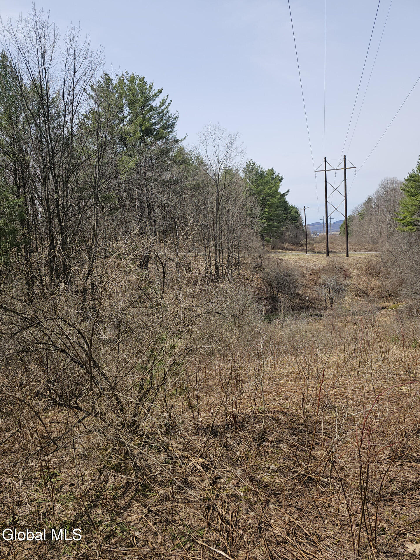 290 Griggs Road Springfield, NY 13468 - Photo 44 of 59 290GriggsRd_68576_45
