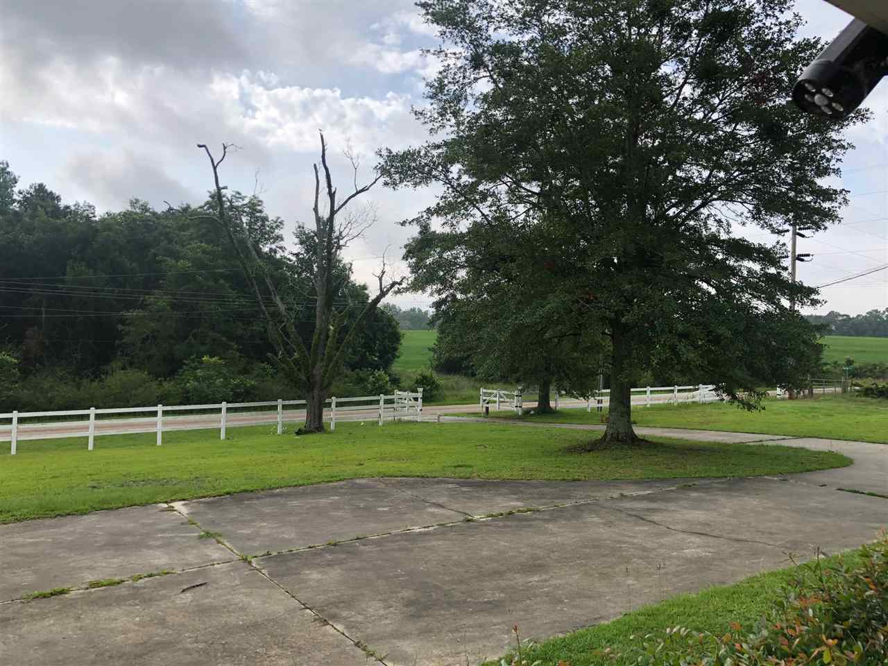 301 Pittman Road Opp, AL 36467 - Photo 17 of 19 Gallery Image 17