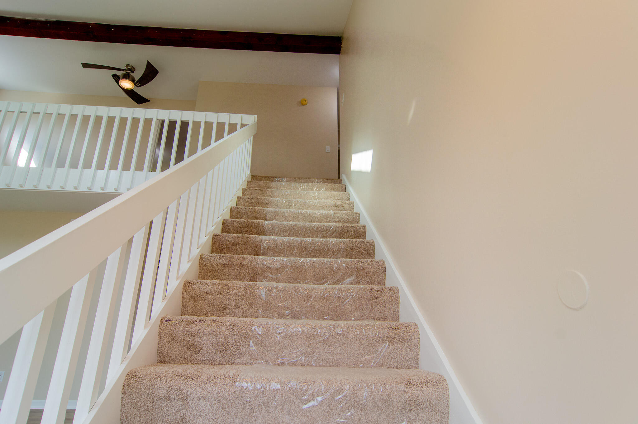 1900 Loganberry Lane Crown Point, IN 46307 - Photo 12 of 30 2048x1362