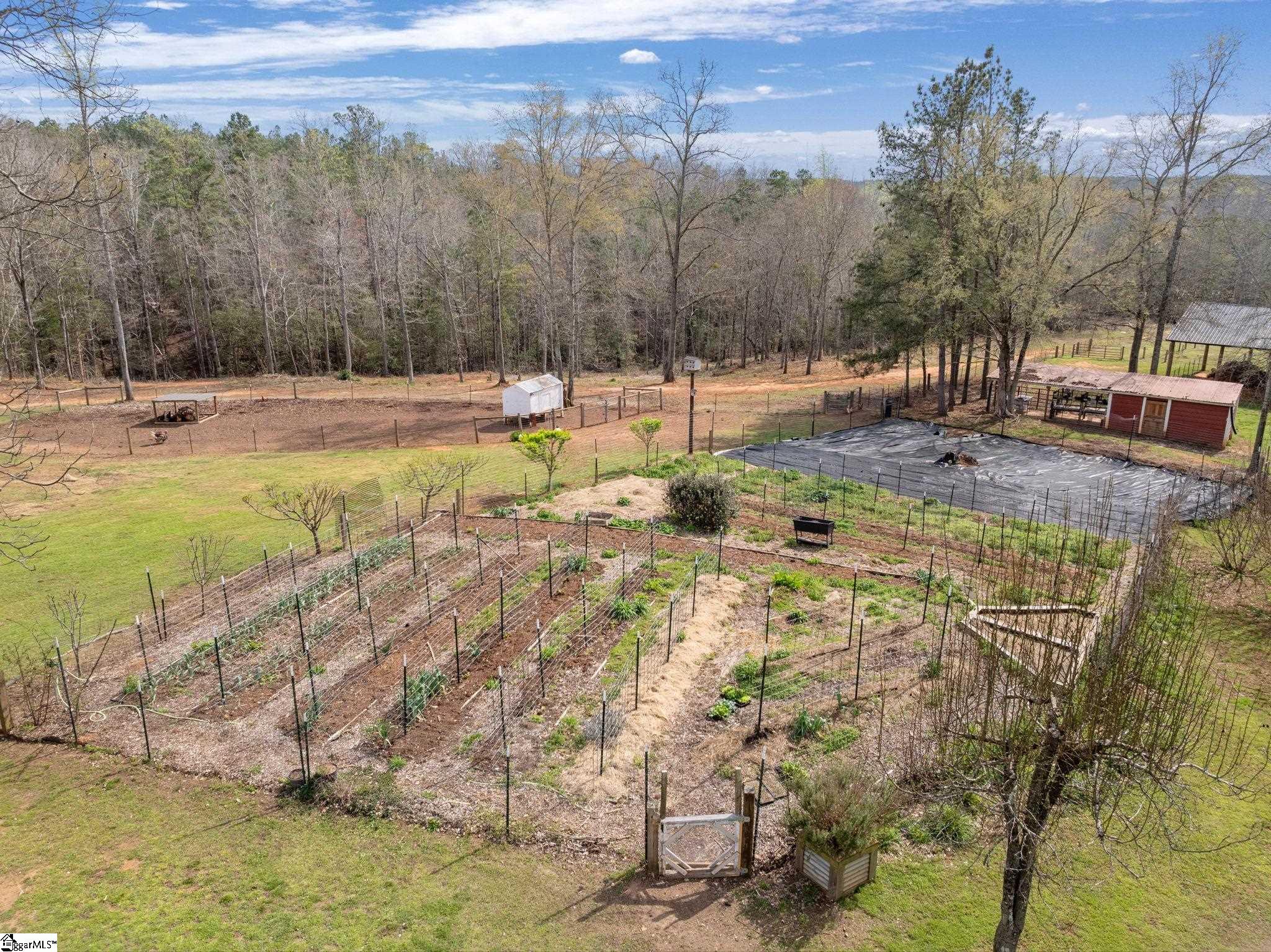 230 Horseshoe Road Honea Path, SC 29654 - Photo 48 of 49