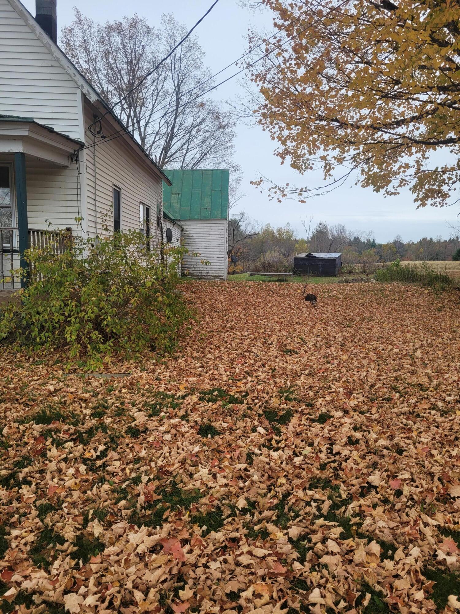 17 Anson Road Starks, ME 04911 - Photo 4 of 30 20251013_142133
