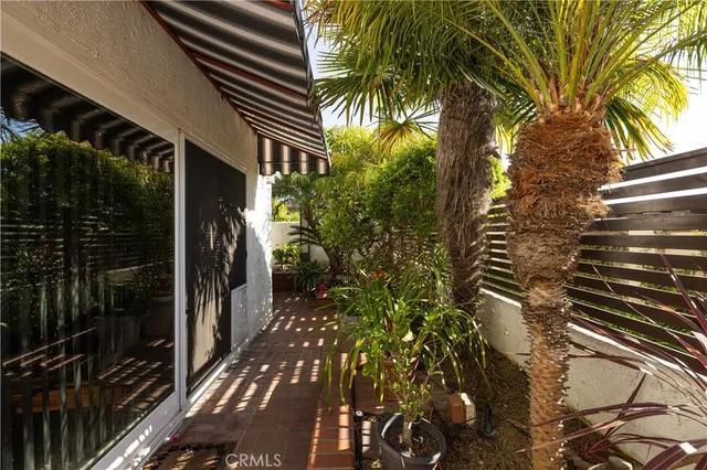 a close up of a potted plant