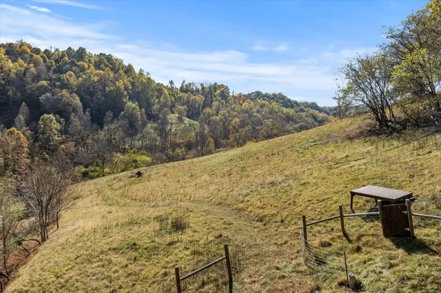 a view of a green field
