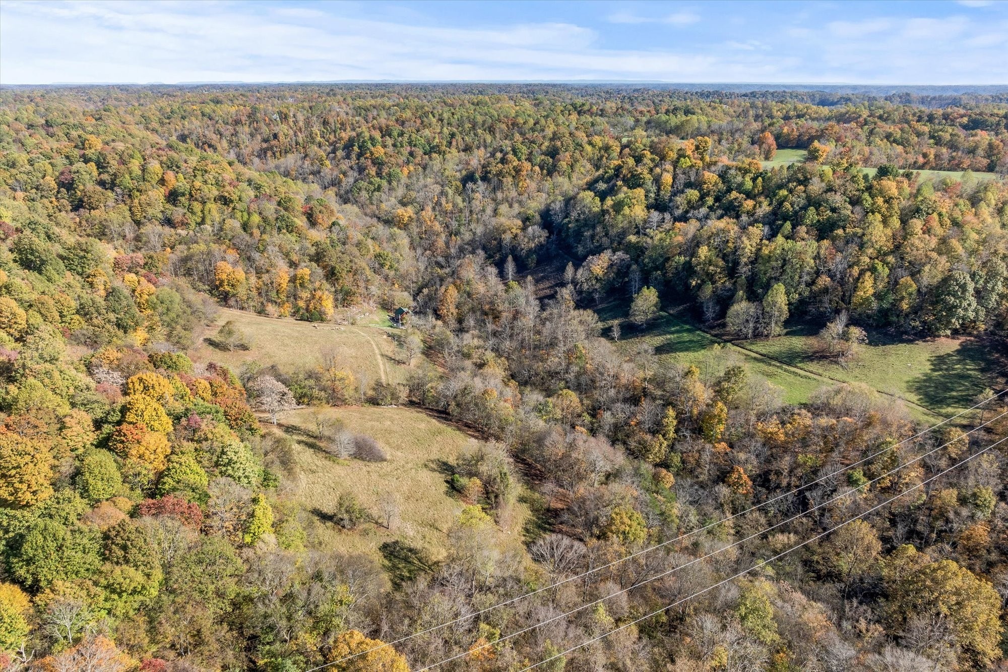 89 Ouchonder Road Elmwood, TN 38560 - Photo 36 of 50 a view of a green field