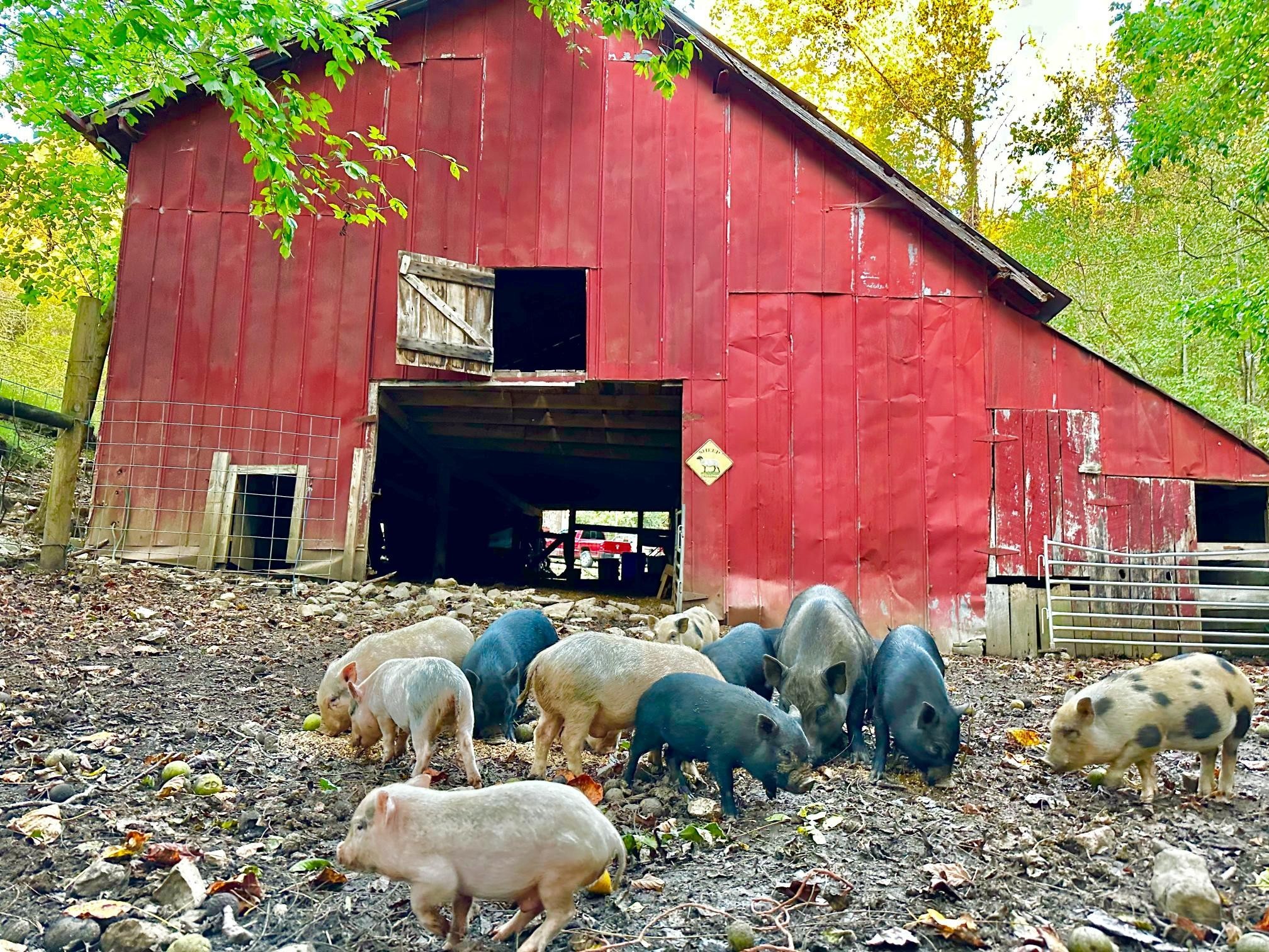 89 Ouchonder Road Elmwood, TN 38560 - Photo 38 of 50 a outdoor living space with furniture and city view