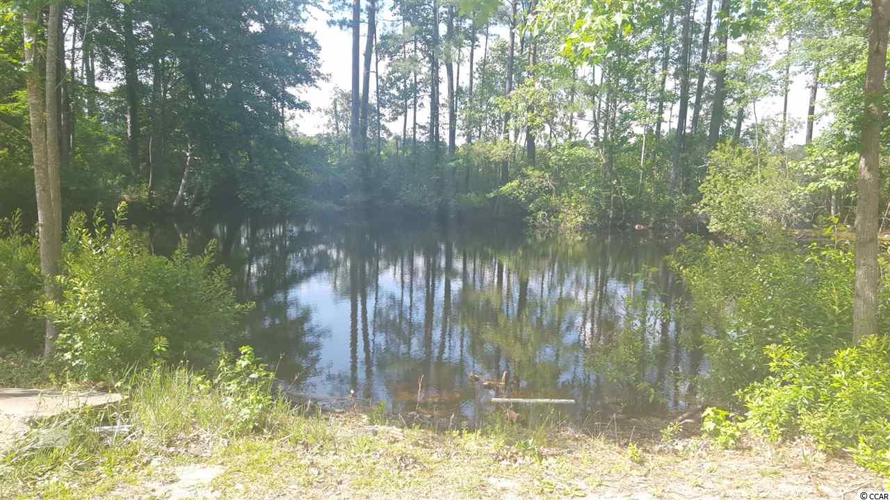 2759 Barnfield Road Conway, SC 29526 - Photo 4 of 11 Gallery Image 4